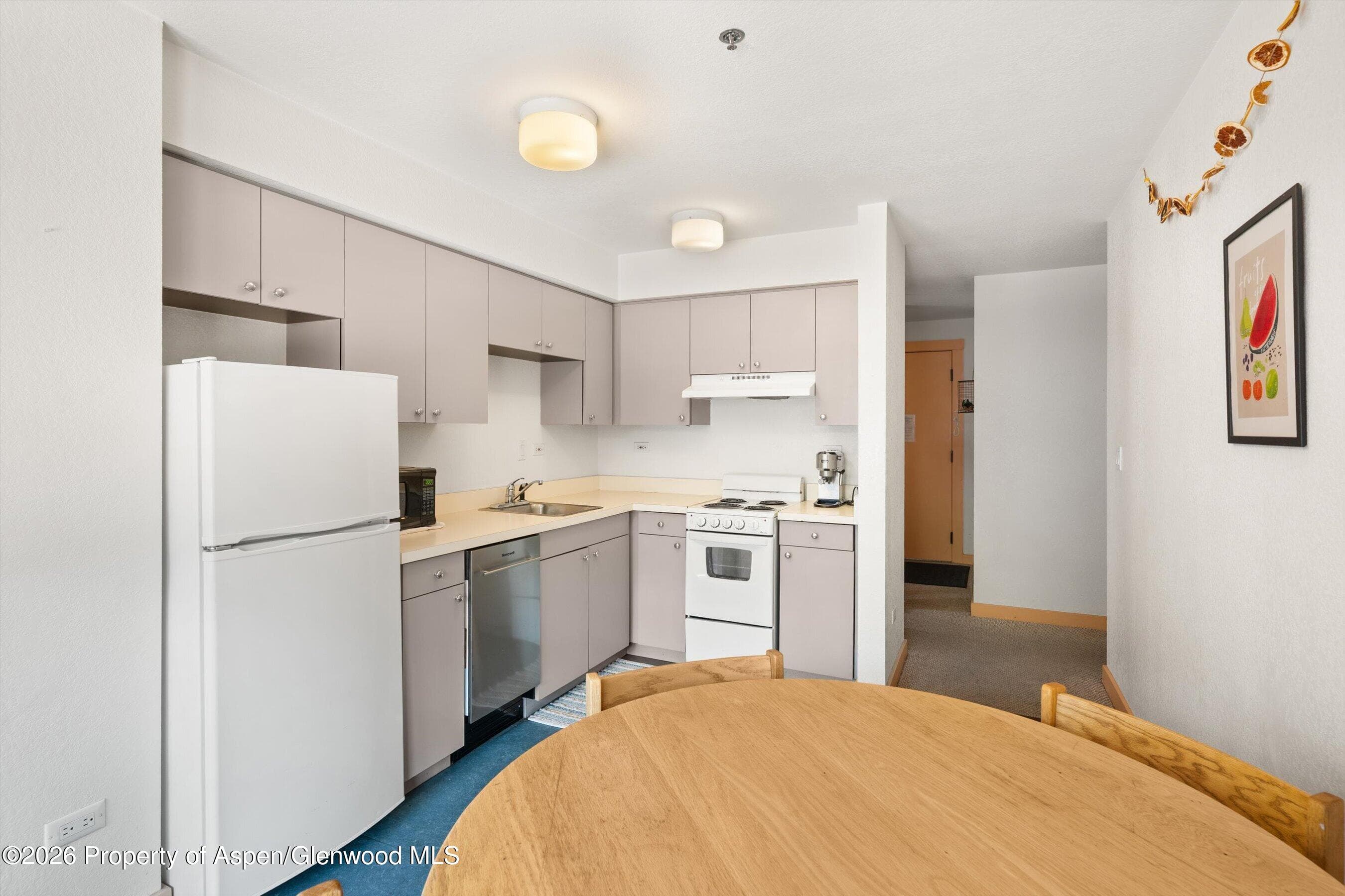 115 Boomerang Road 5309, Aspen, CO 81611 - Photo 11