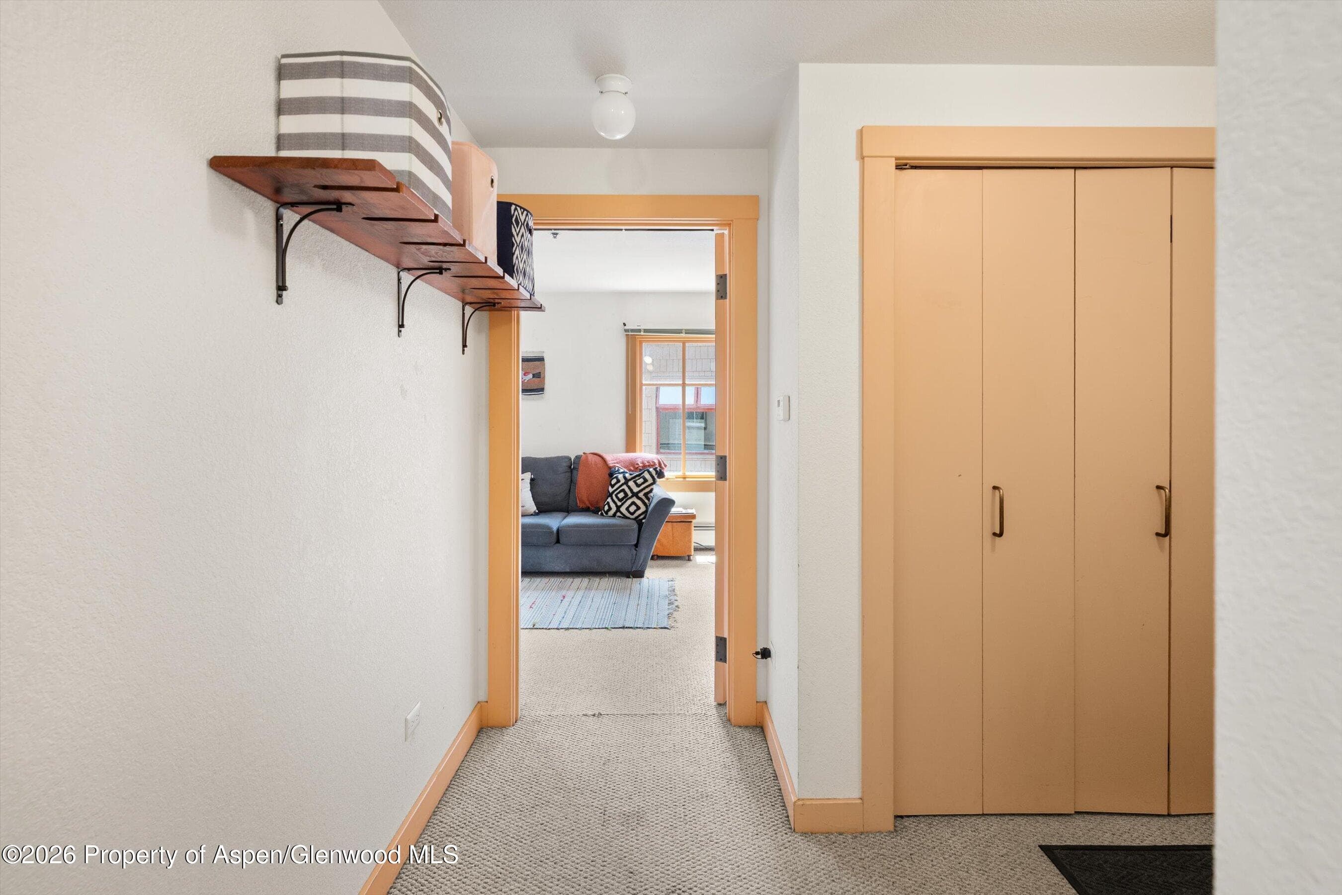 115 Boomerang Road 5309, Aspen, CO 81611 - Photo 28