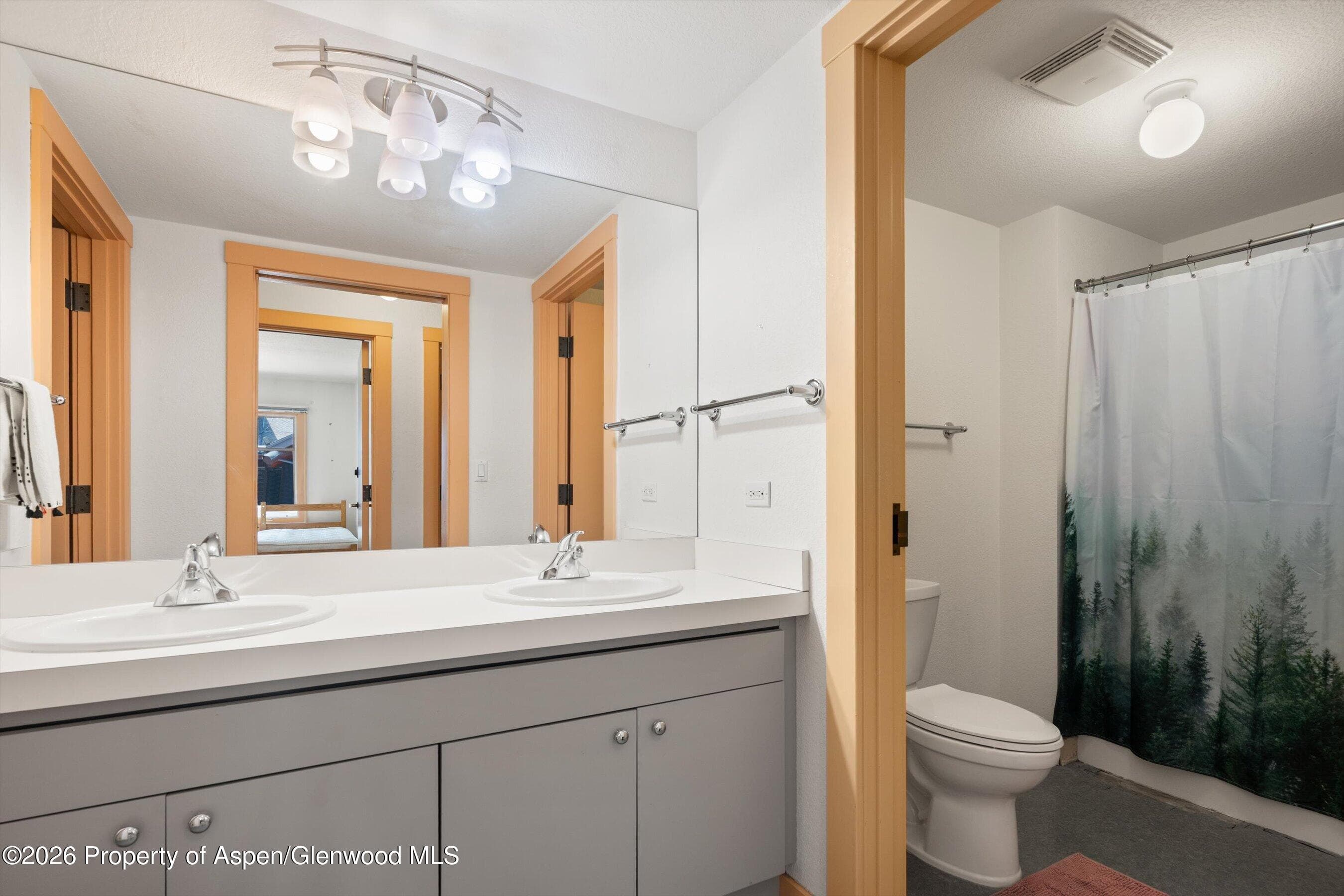 115 Boomerang Road 5309, Aspen, CO 81611 - Photo 24