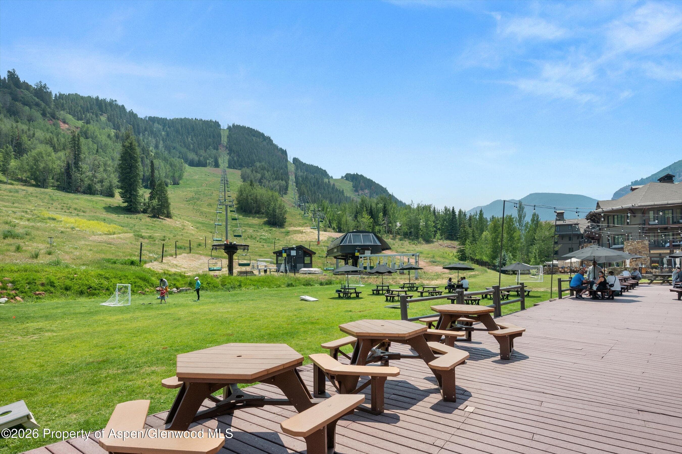115 Boomerang Road 5309, Aspen, CO 81611 - Photo 32