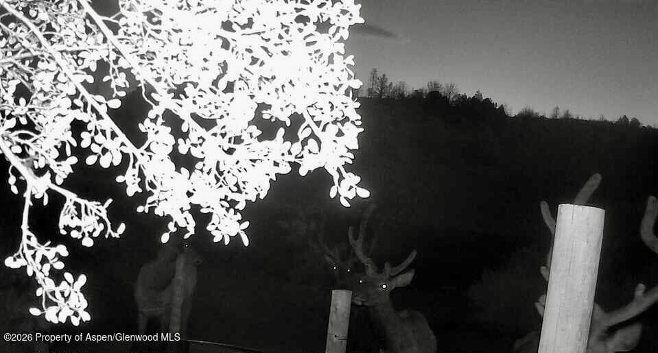 65061 Highway 64, Meeker, CO 81641 - Photo 11