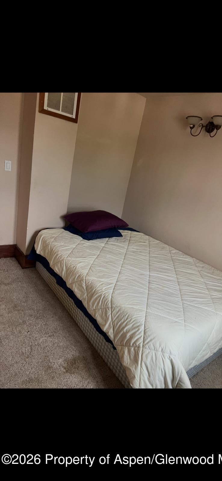 248 E 1st Street, Parachute, CO 81635 - Photo 14