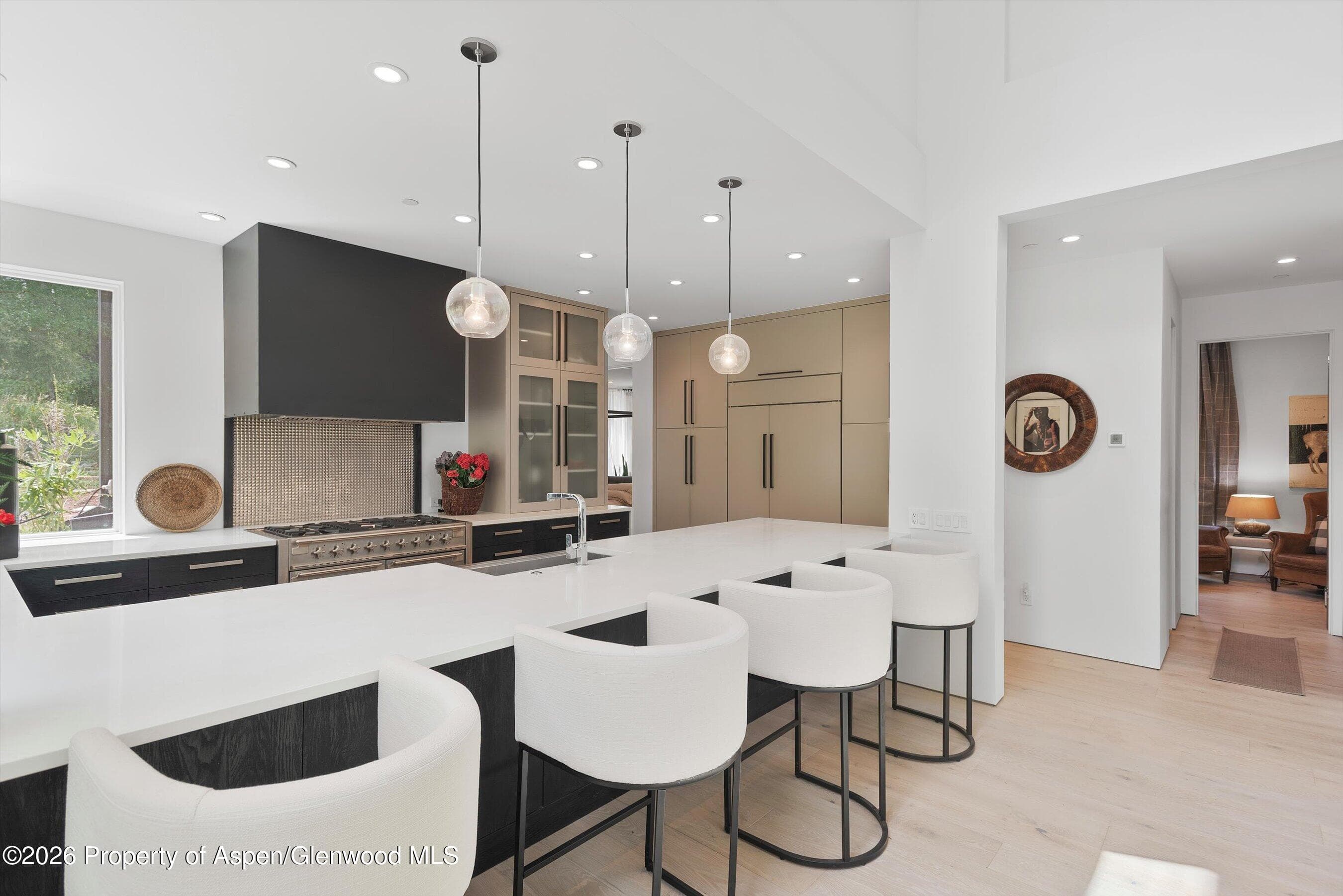 813 W Smuggler Street, Aspen, CO 81611 - Photo 18