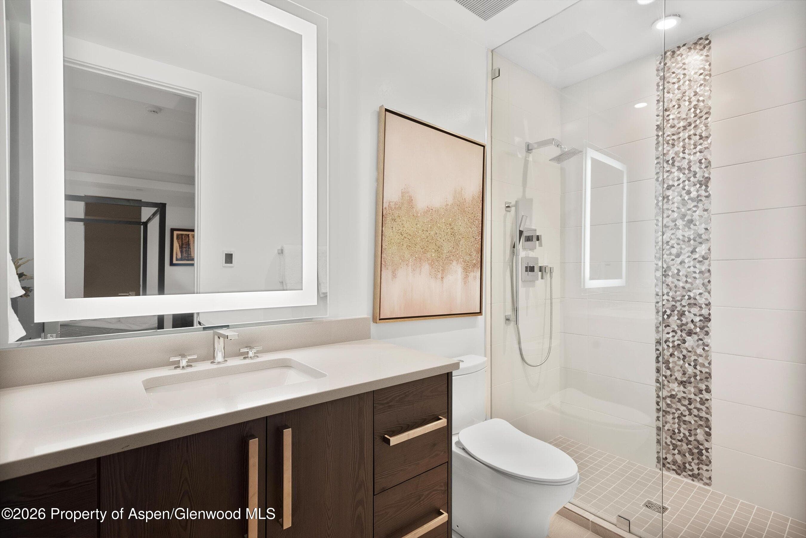 813 W Smuggler Street, Aspen, CO 81611 - Photo 51