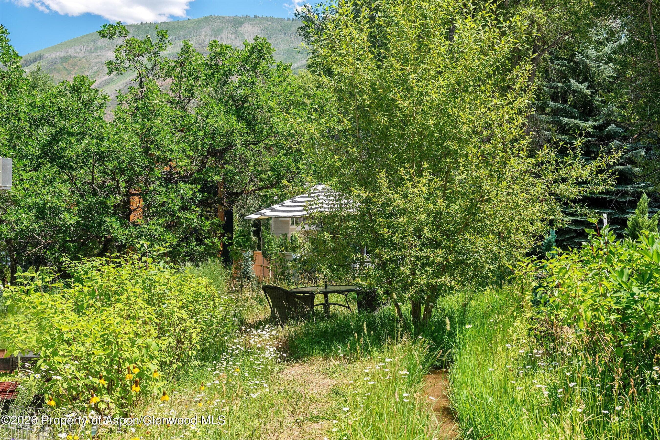 813 W Smuggler Street, Aspen, CO 81611 - Photo 65
