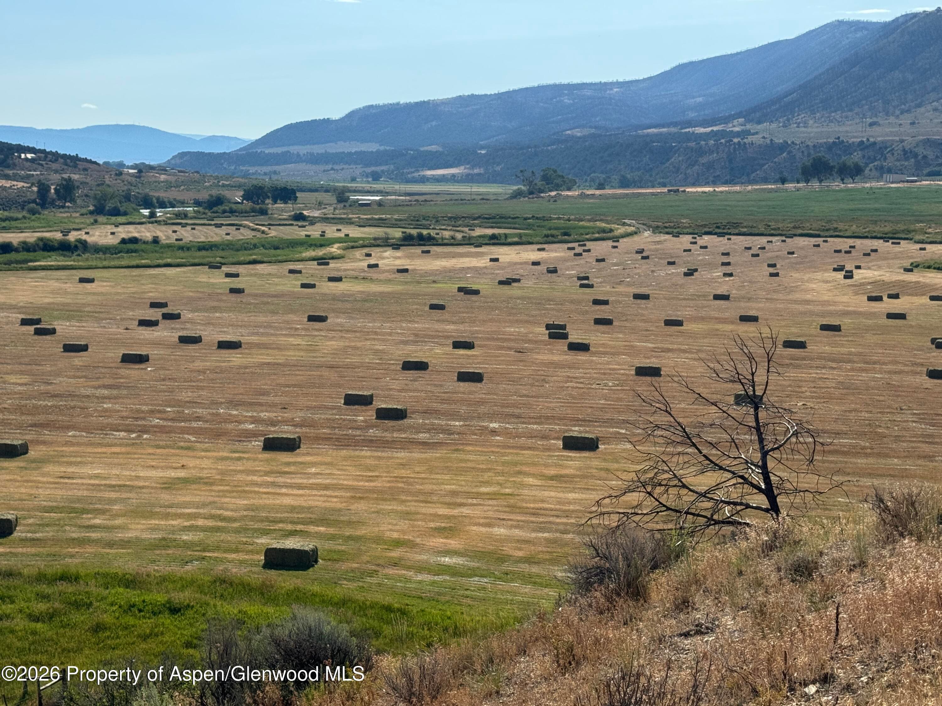 65061 Highway 64, Meeker, CO 81641 - Photo 5