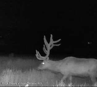 65061 Highway 64, Meeker, CO 81641 - Photo 9