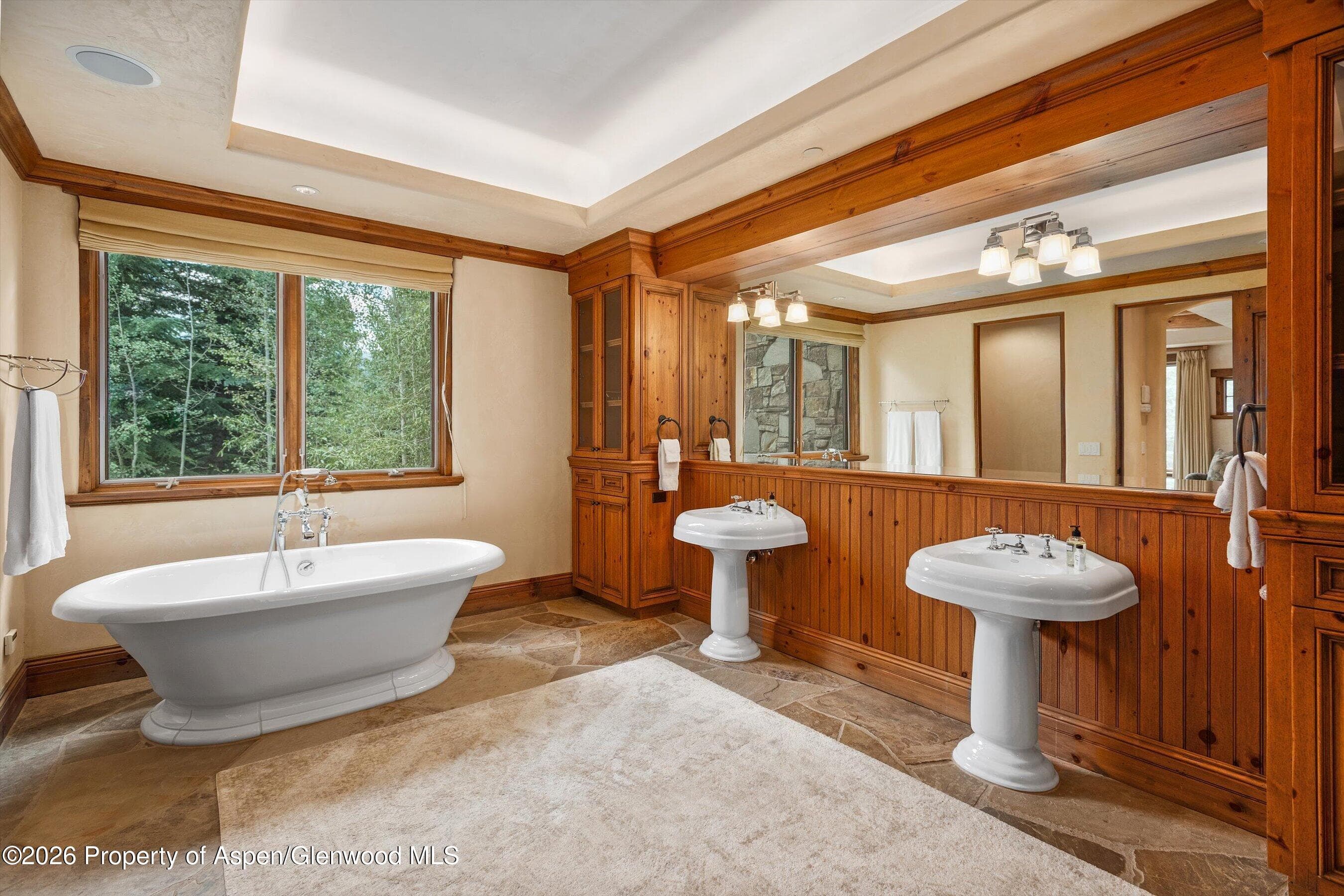 247 Willoughby Way, Aspen, CO 81611 - Photo 26