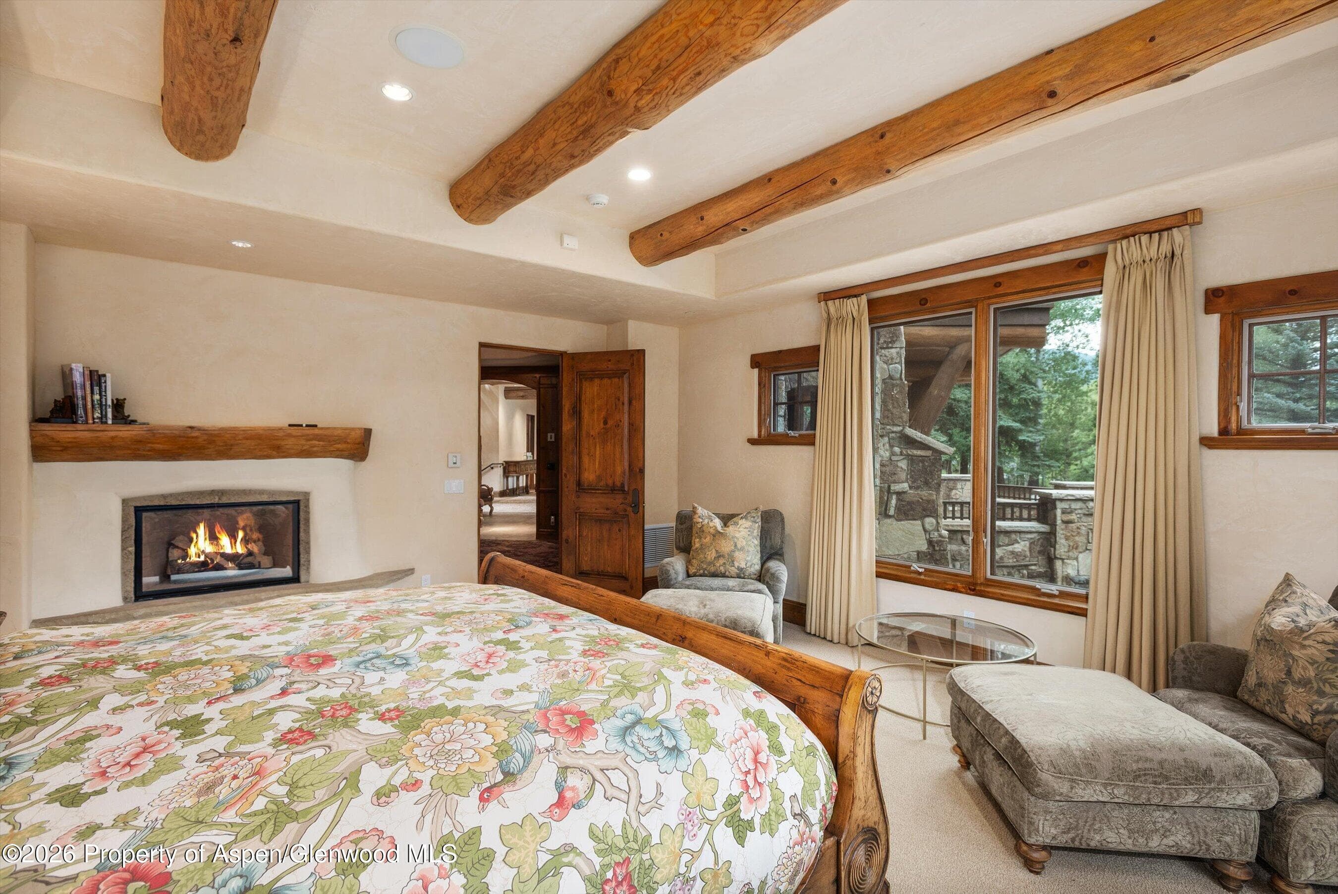 247 Willoughby Way, Aspen, CO 81611 - Photo 24
