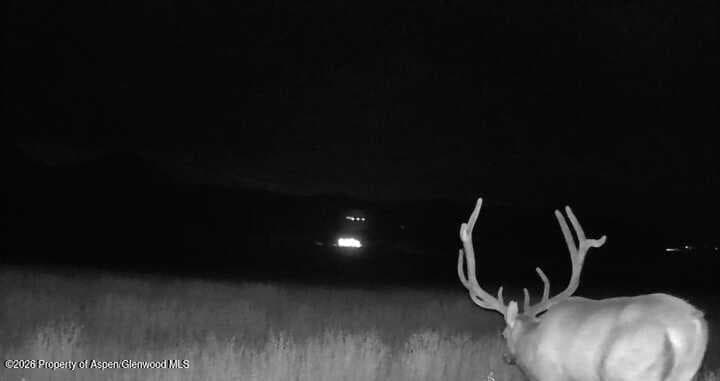 65061 Highway 64, Meeker, CO 81641 - Photo 6