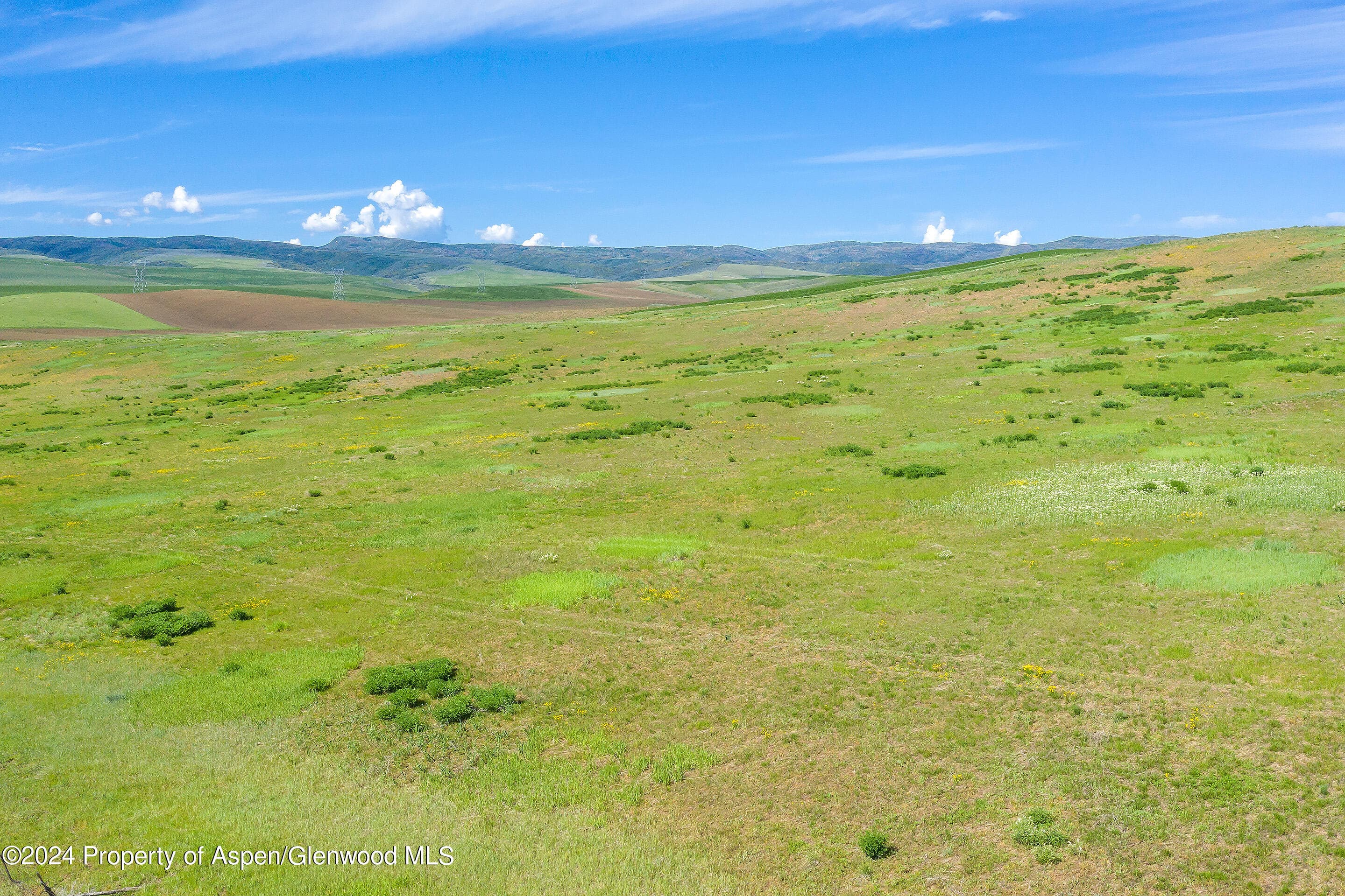 35300 +5 County Road 59, Hayden, CO 81639 - Photo 15