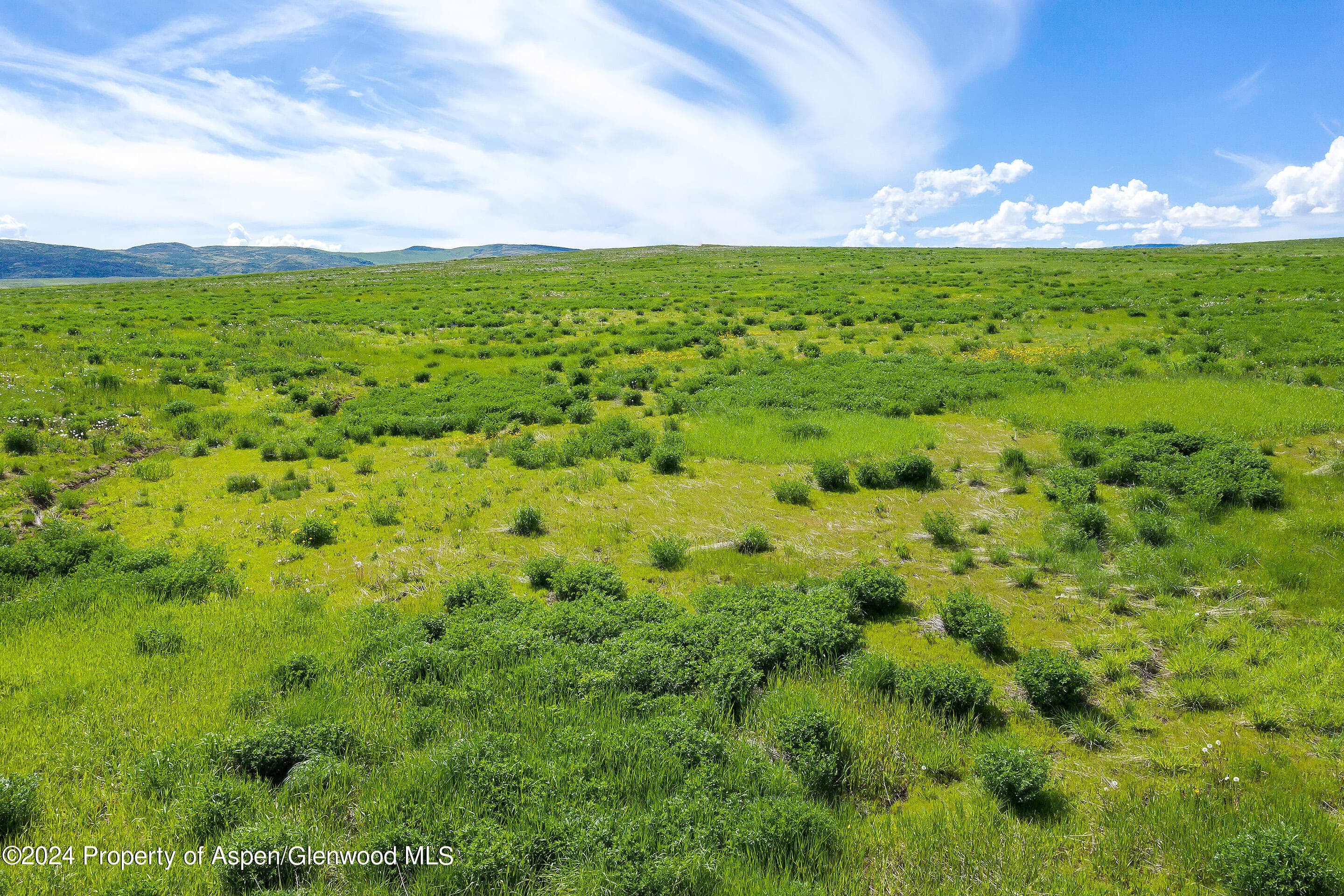 35300 +5 County Road 59, Hayden, CO 81639 - Photo 20
