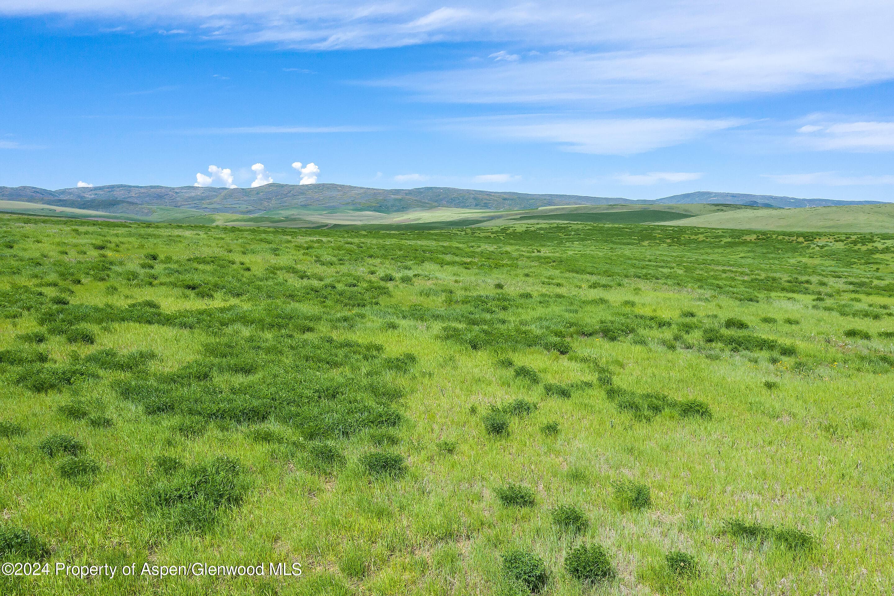 35300 +5 County Road 59, Hayden, CO 81639 - Photo 21