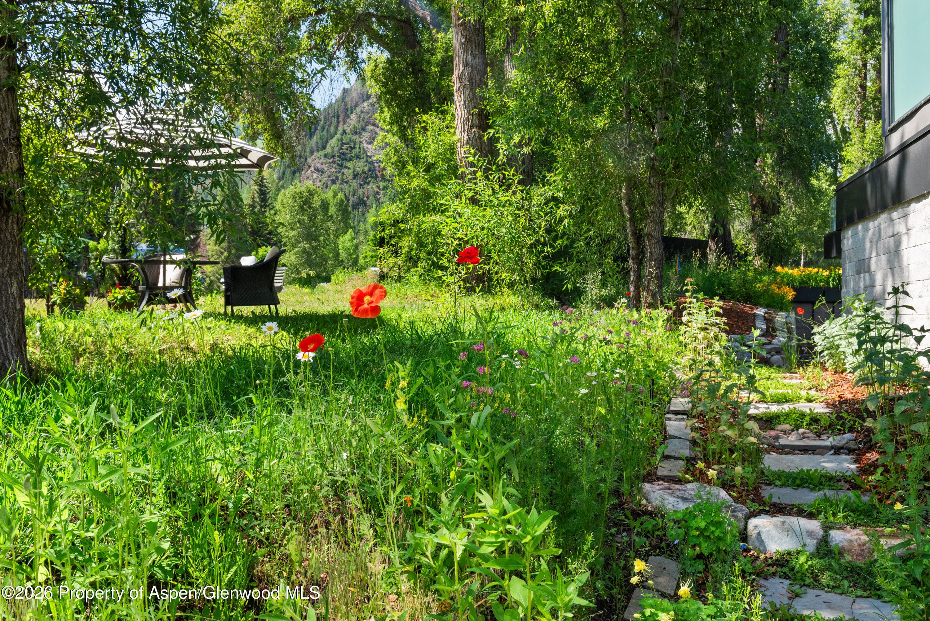 813 W Smuggler Street, Aspen, CO 81611 - Photo 71