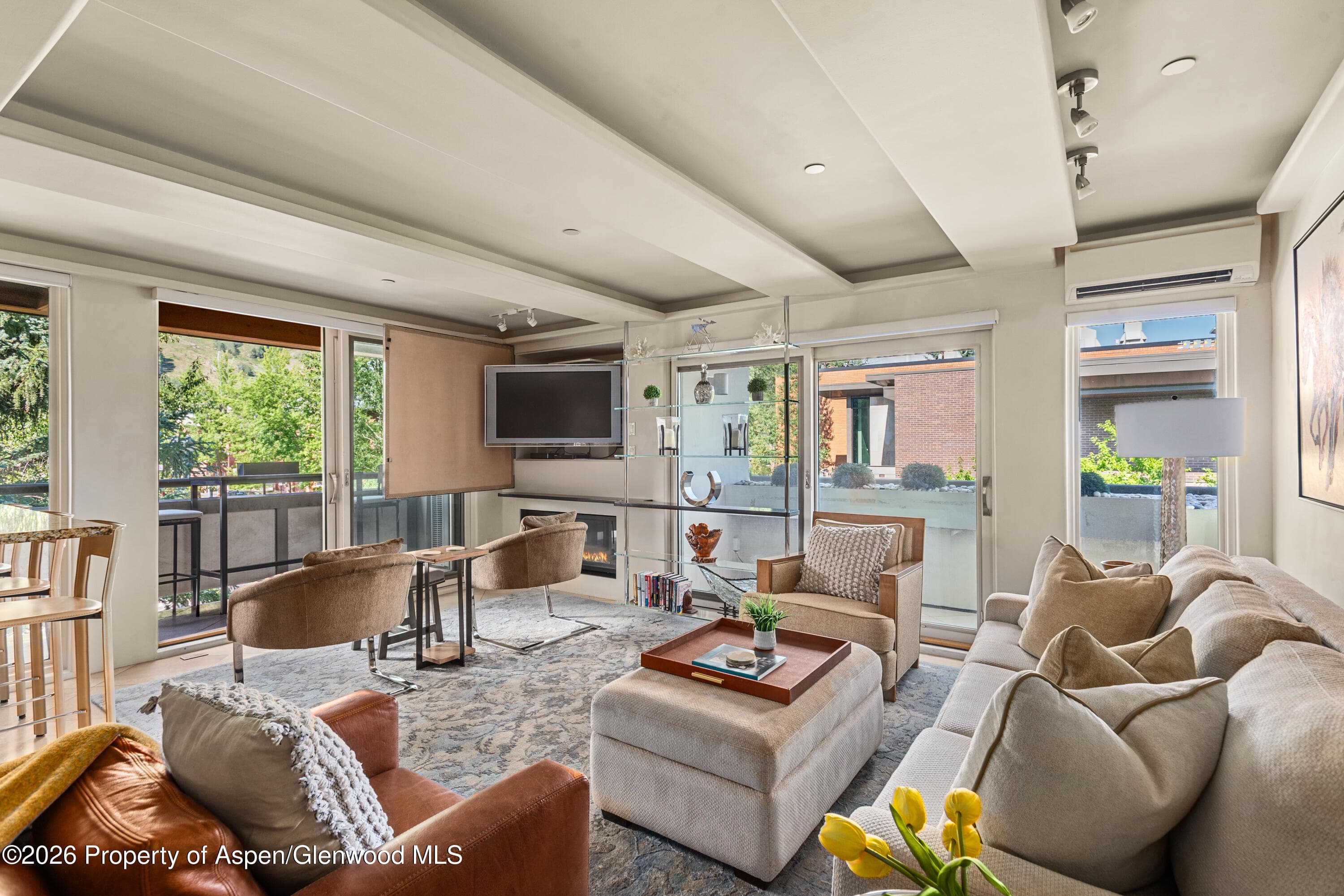 600 E Main Street 301, Aspen, CO 81611