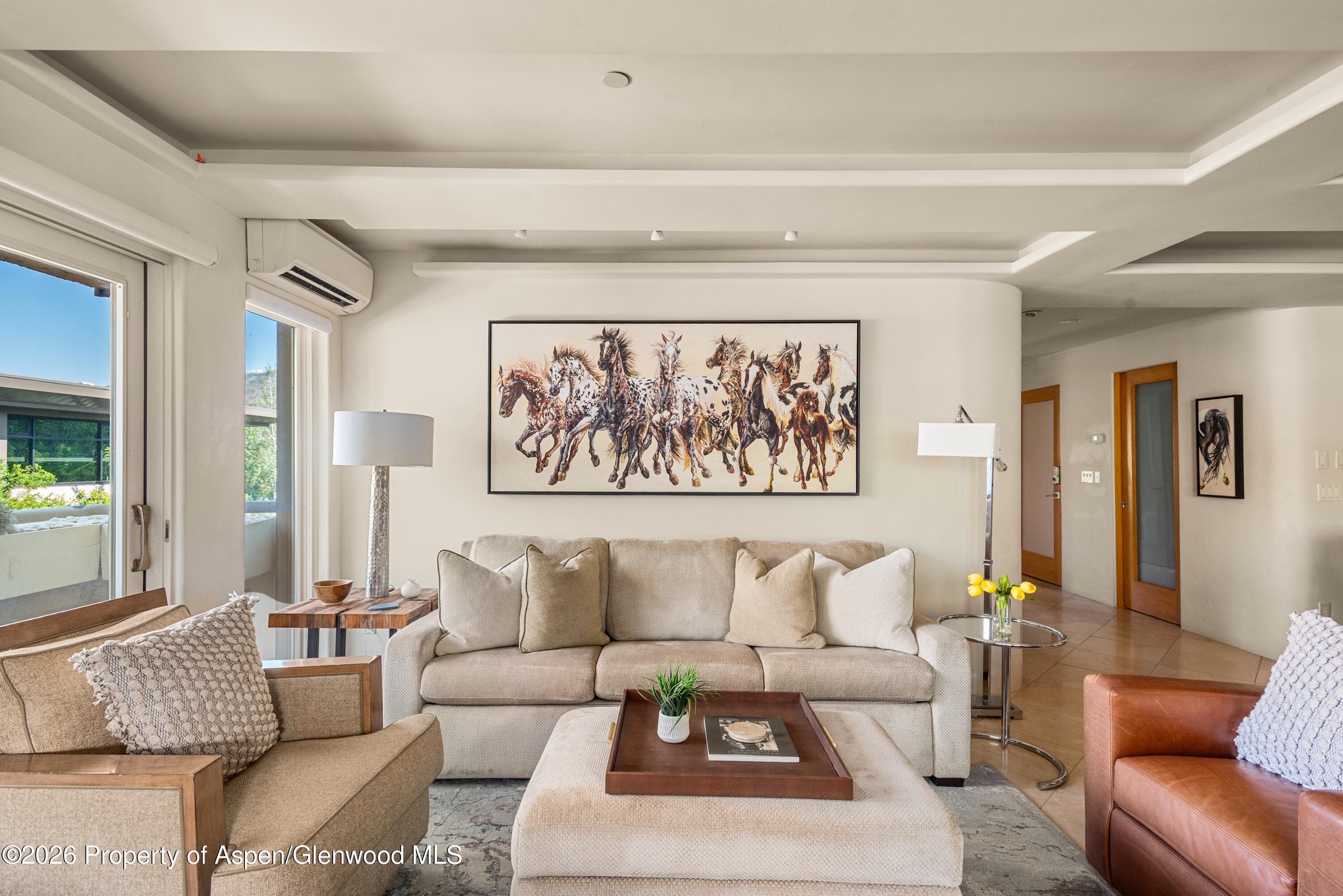 600 E Main Street 301, Aspen, CO 81611 - Photo 2