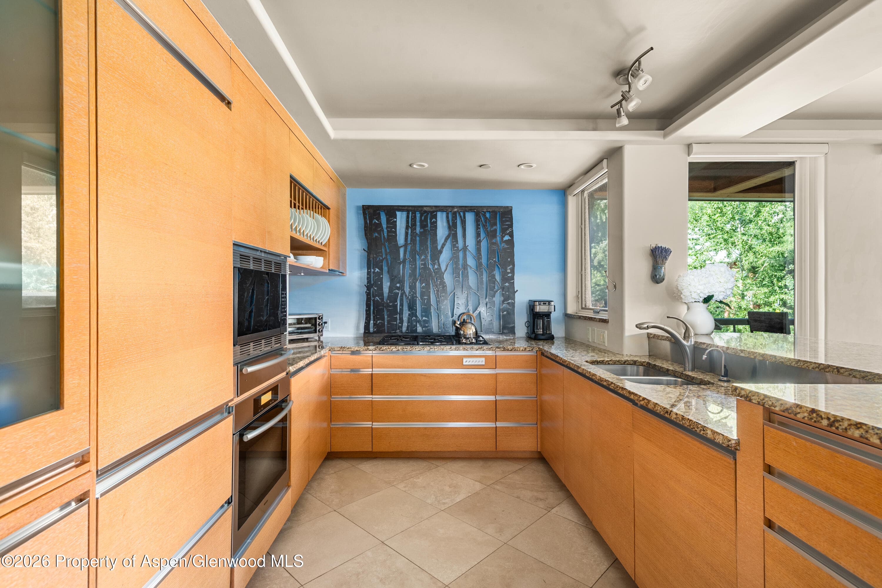 600 E Main Street 301, Aspen, CO 81611 - Photo 6