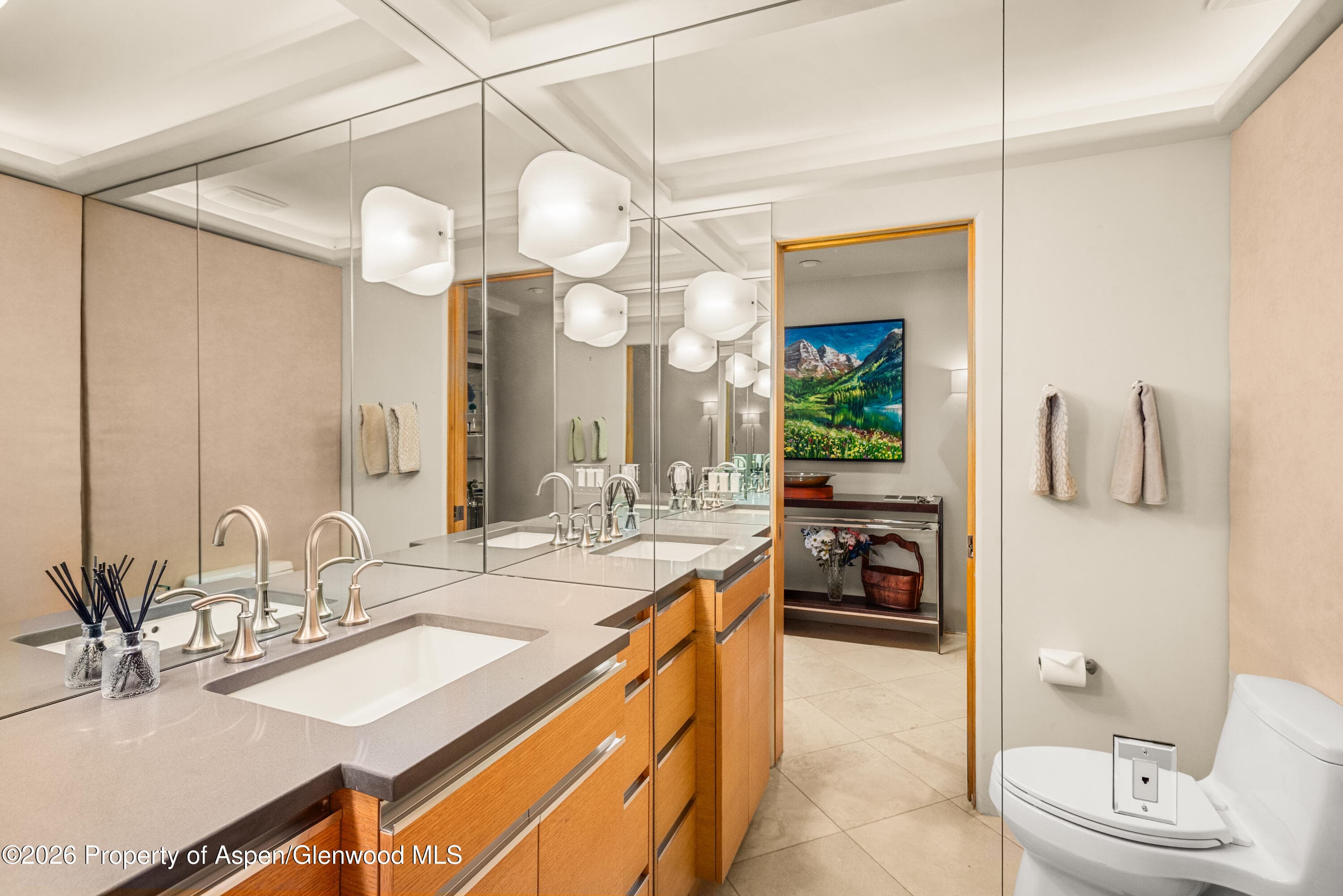 600 E Main Street 301, Aspen, CO 81611 - Photo 9