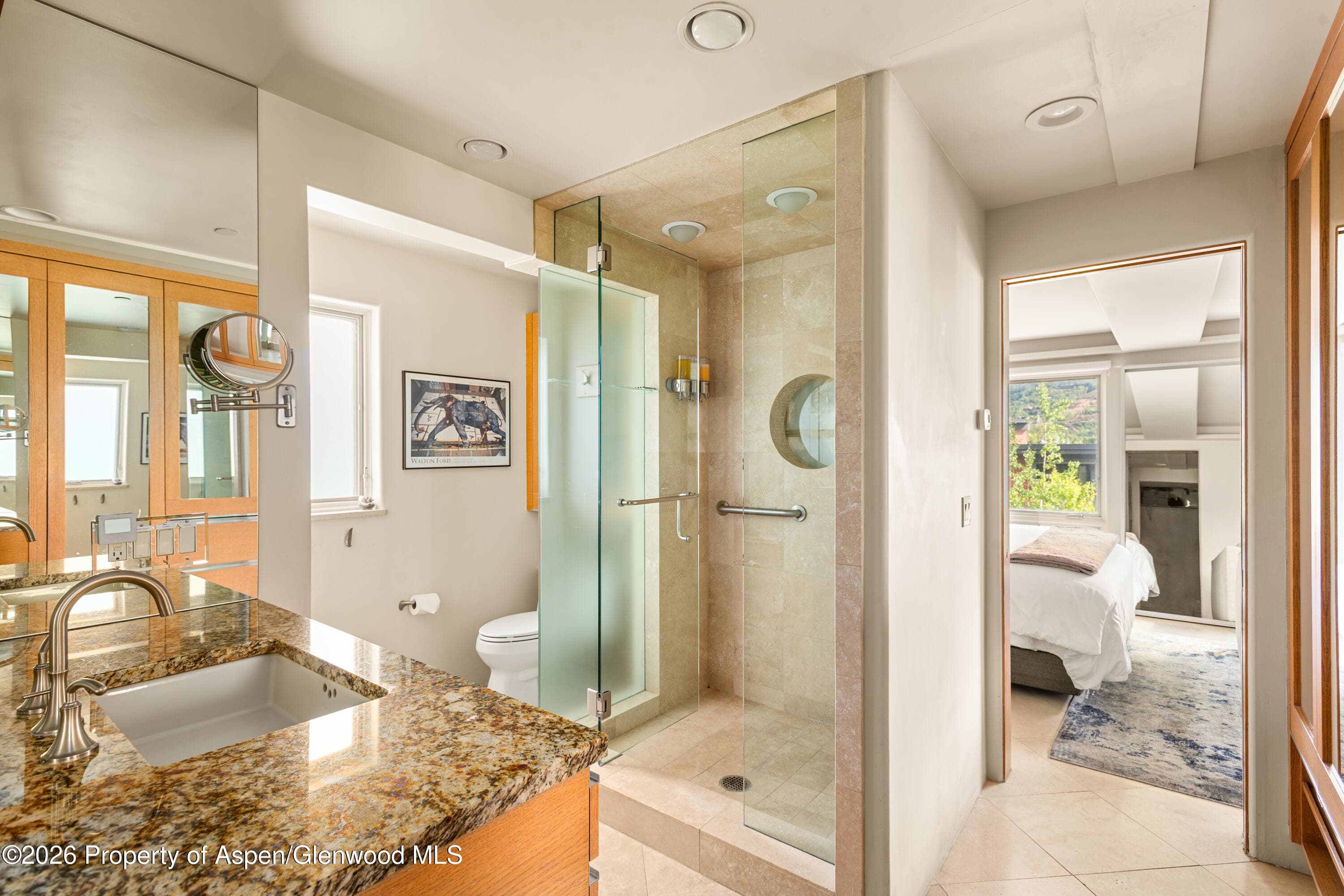 600 E Main Street 301, Aspen, CO 81611 - Photo 12