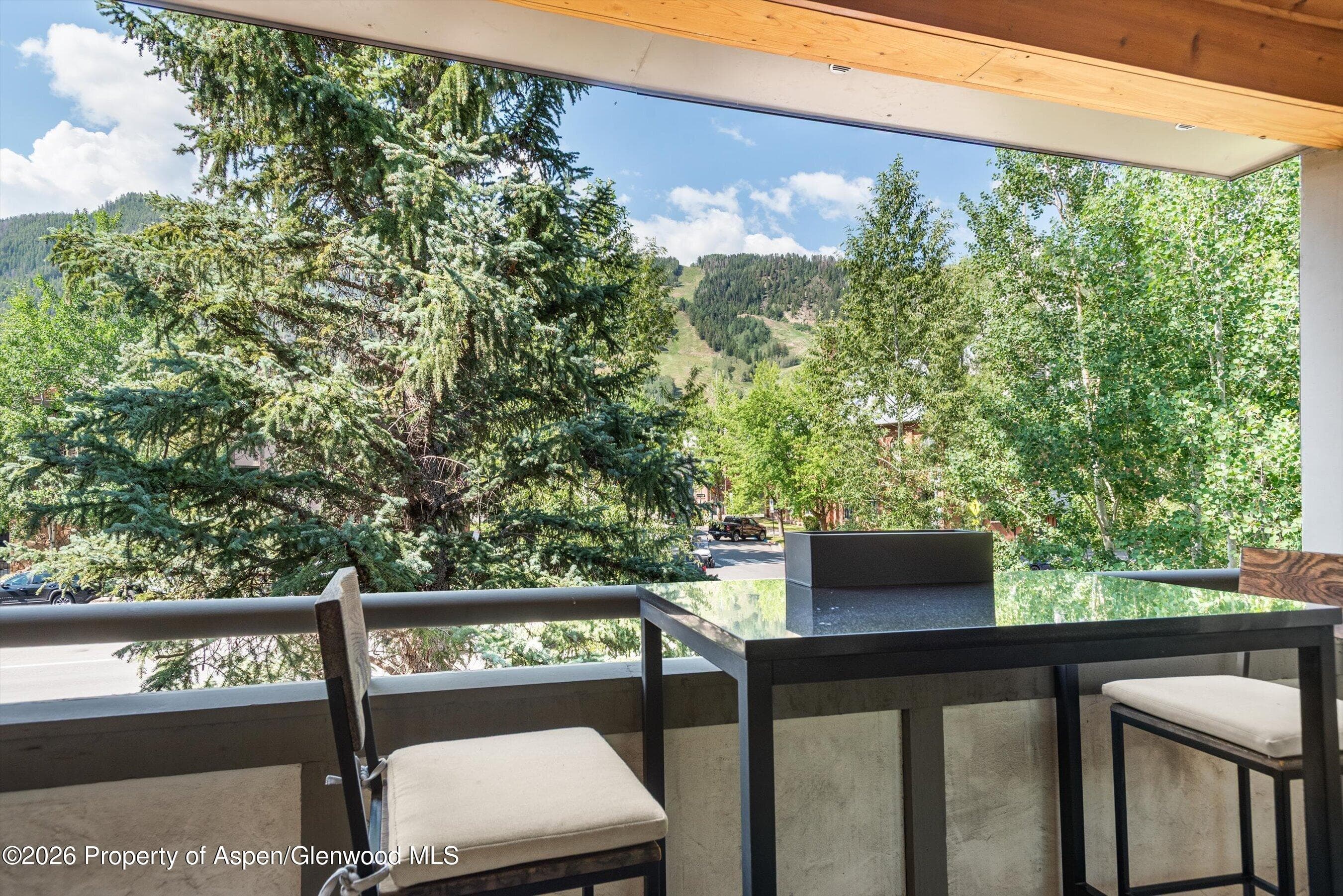 600 E Main Street 301, Aspen, CO 81611 - Photo 4