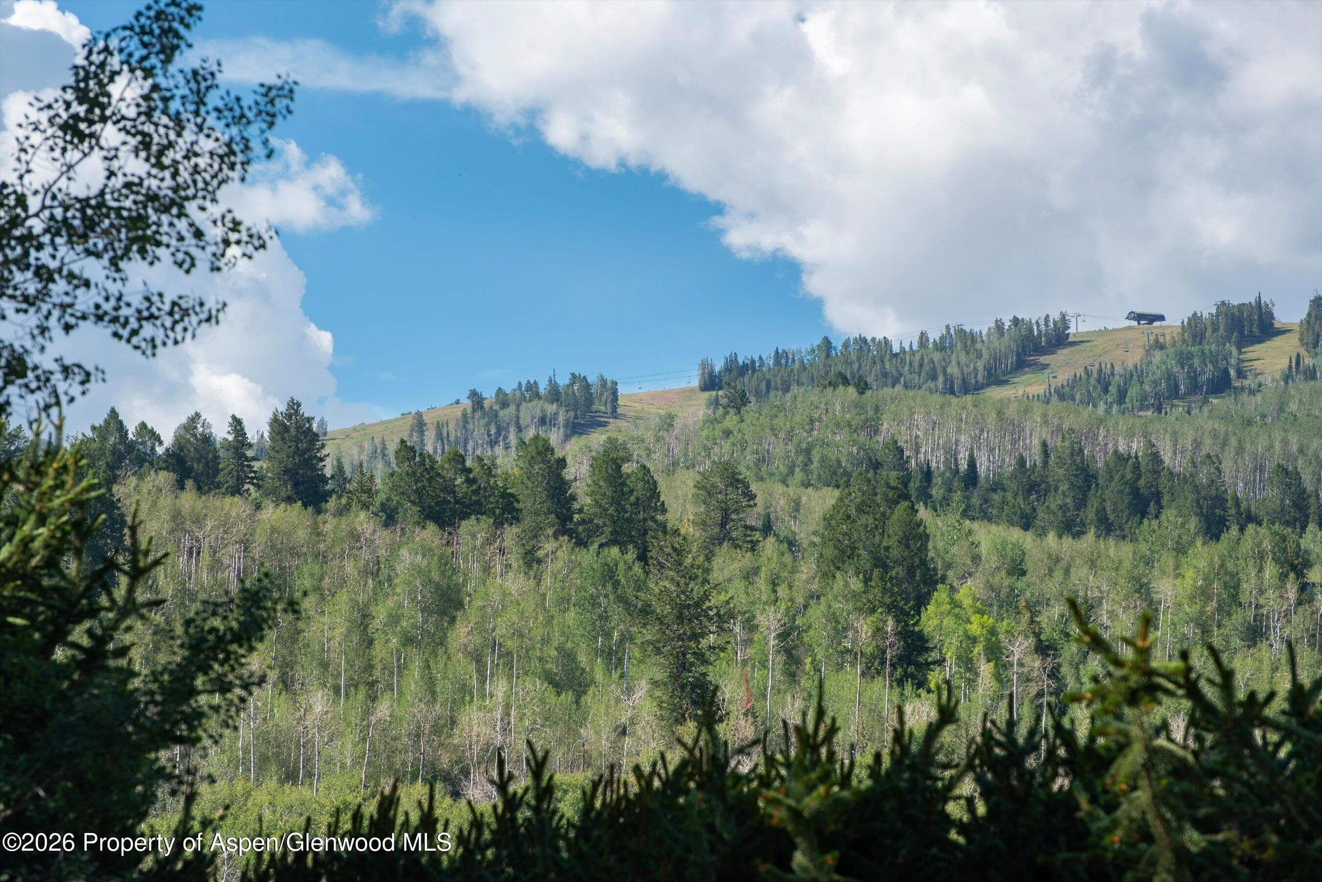 1330 W Buttermilk Road, Aspen, CO 81611 - Photo 54
