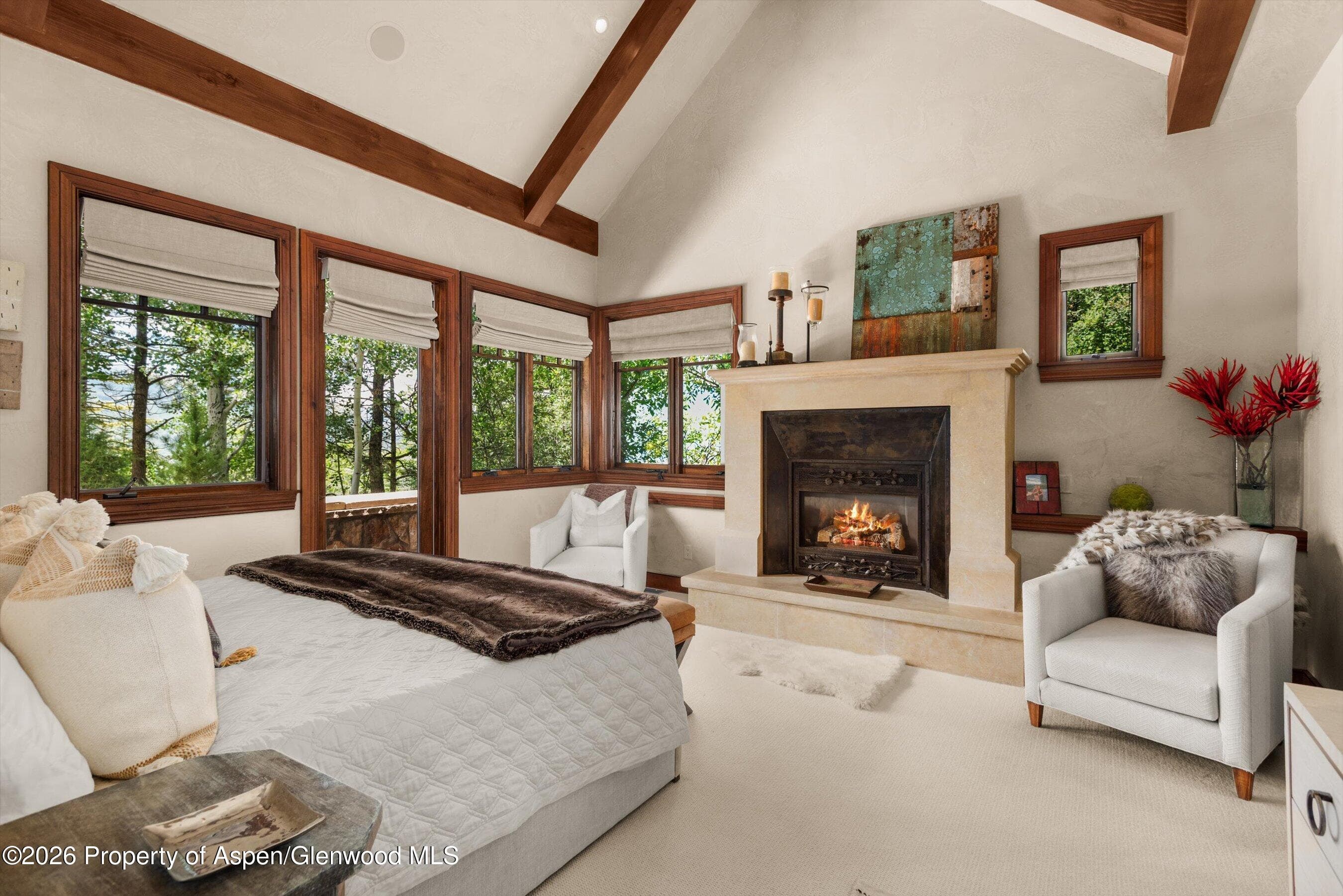 863 Hunter Creek Road, Aspen, CO 81611 - Photo 9