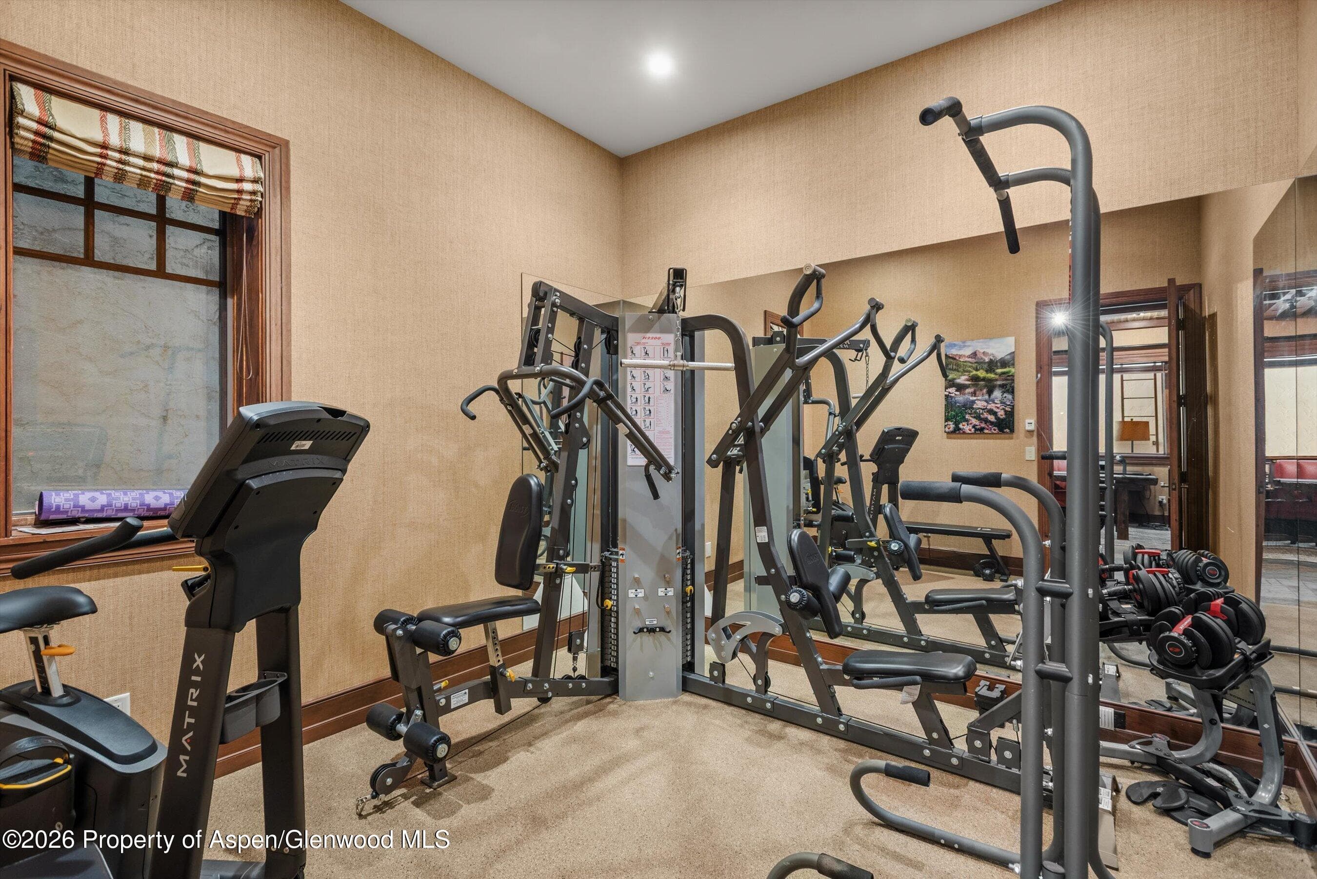 863 Hunter Creek Road, Aspen, CO 81611 - Photo 21