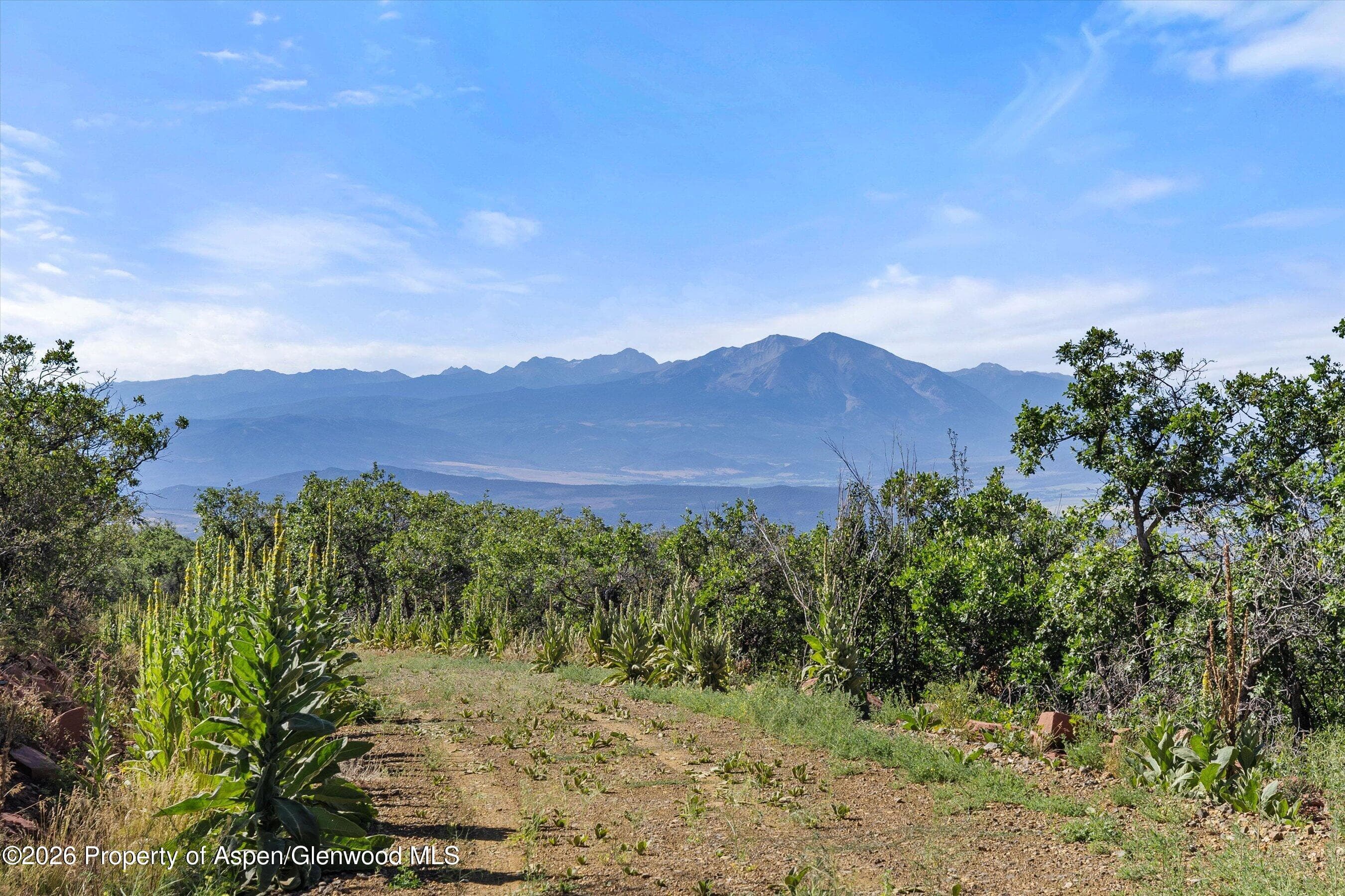 4080 County Road 121, Glenwood Springs, CO 81601 - Photo 2