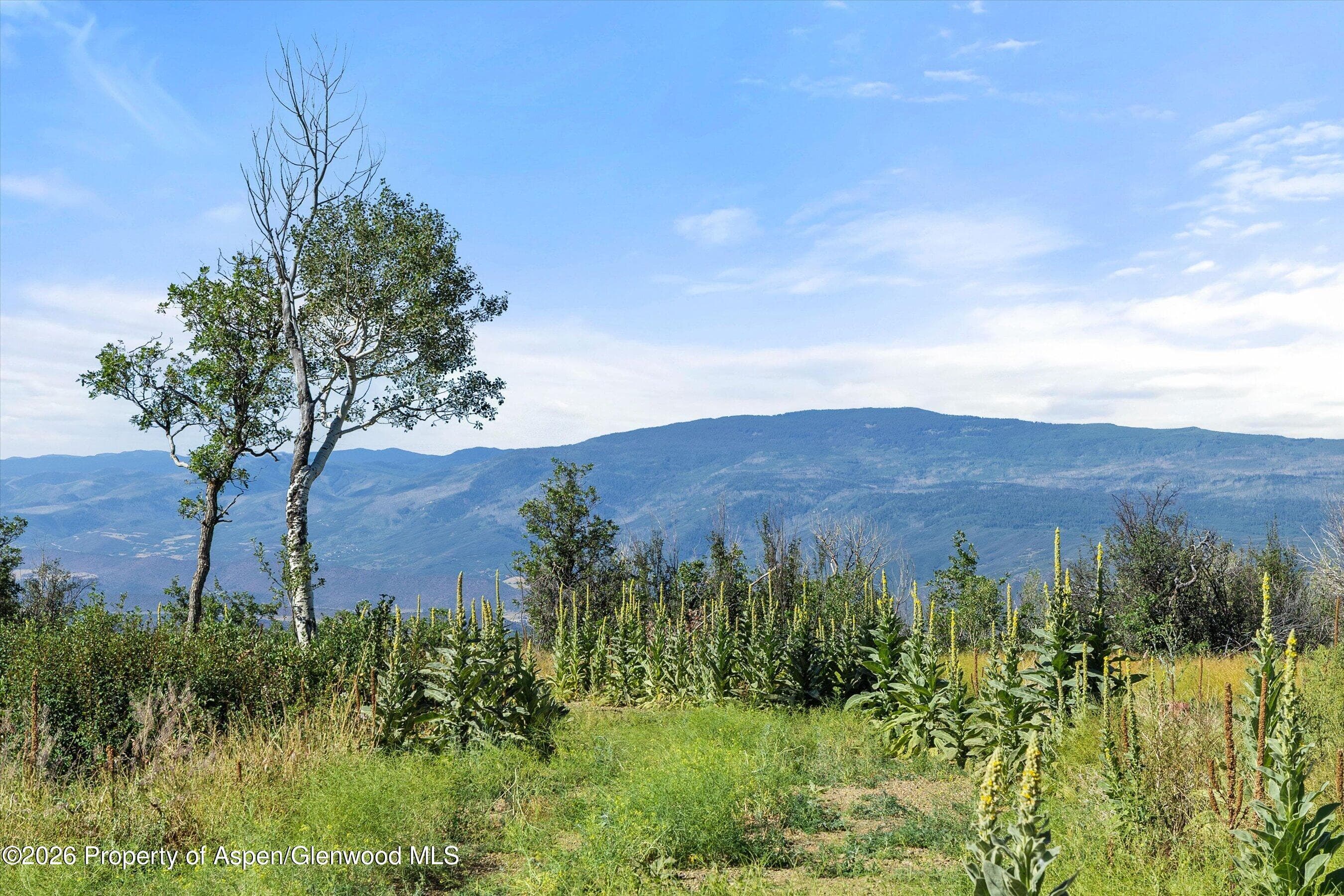 4080 County Road 121, Glenwood Springs, CO 81601 - Photo 14