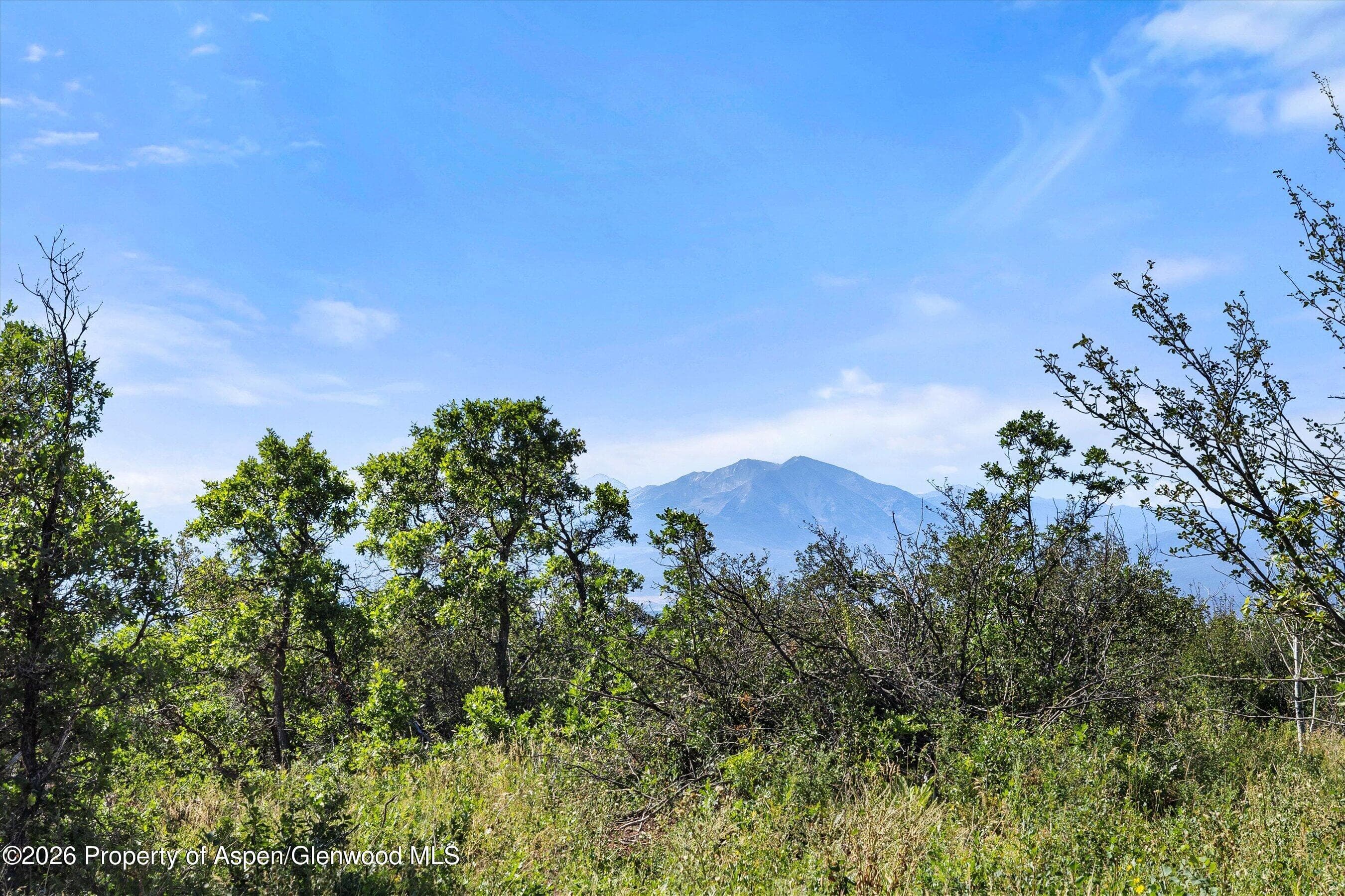 4080 County Road 121, Glenwood Springs, CO 81601 - Photo 9