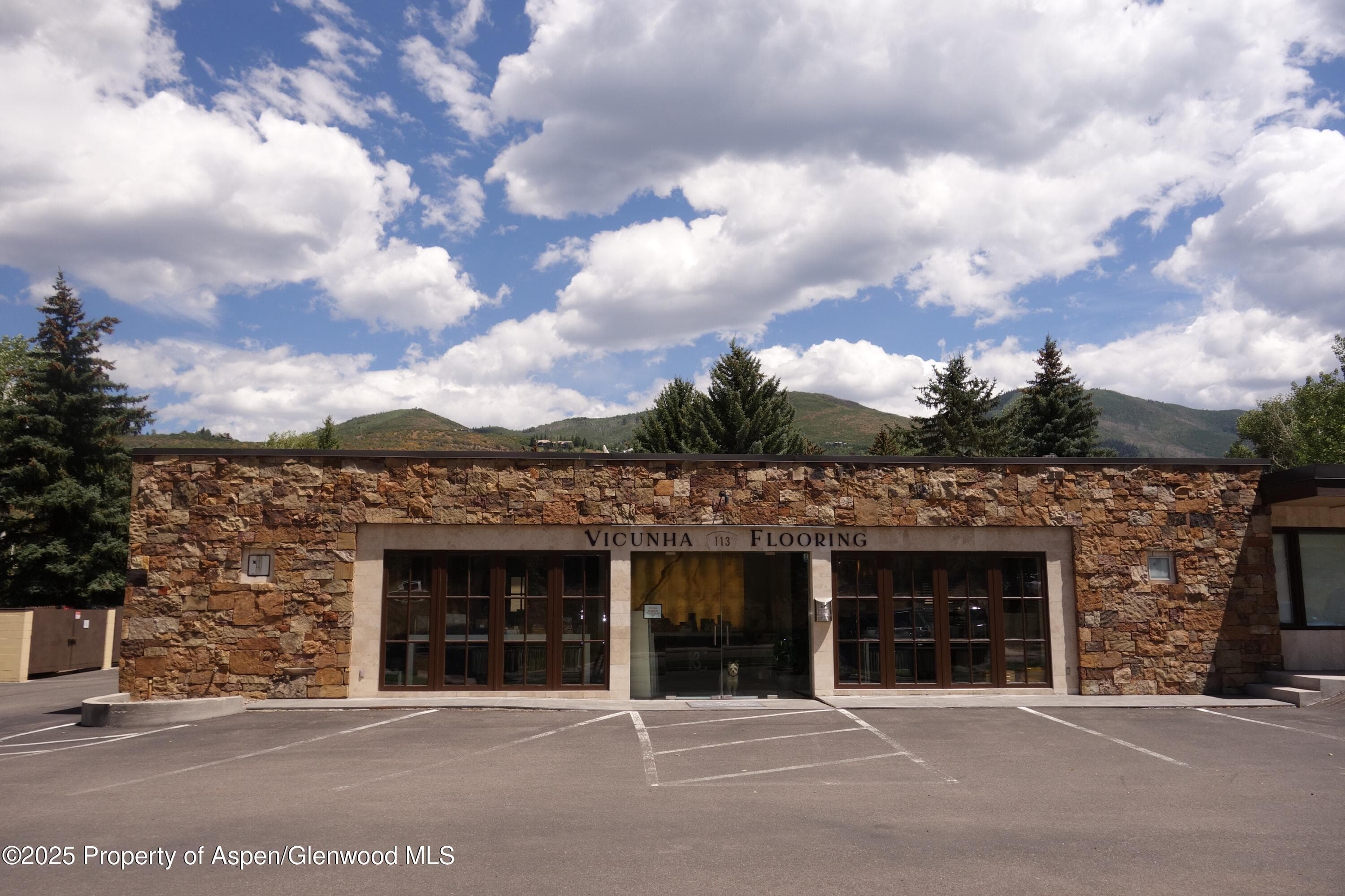 113 Sage Way West, Aspen, CO 81611 - Photo 1