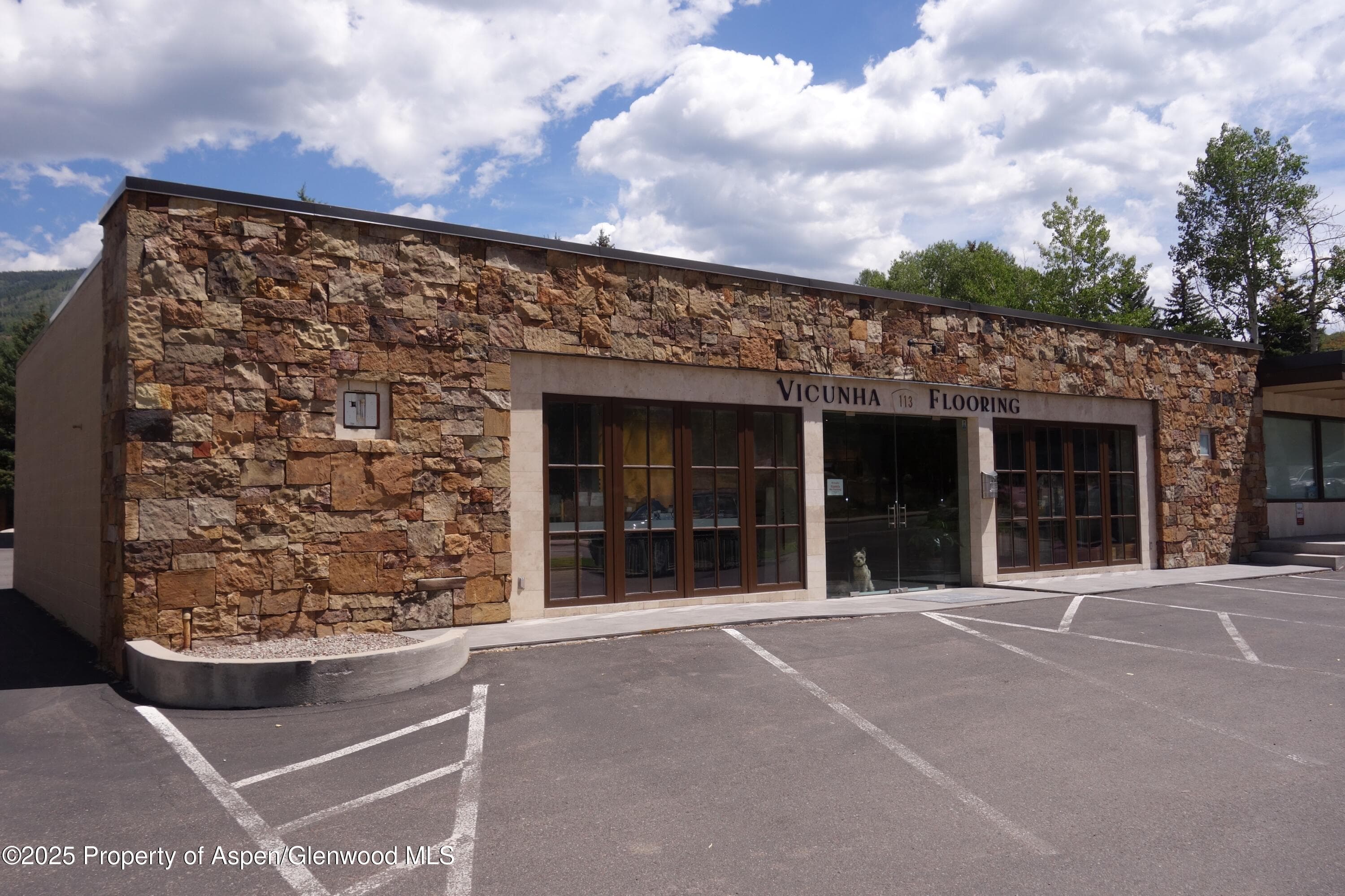 113 Sage Way West, Aspen, CO 81611 - Photo 2