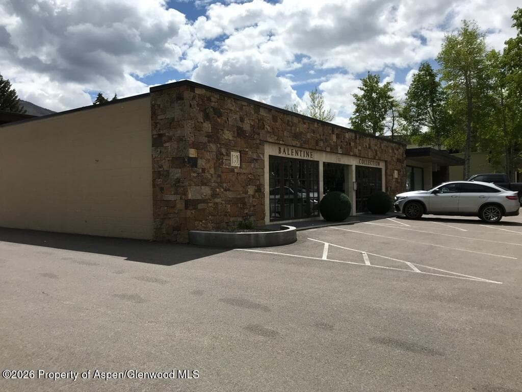 113 Sage Way West, Aspen, CO 81611 - Photo 3