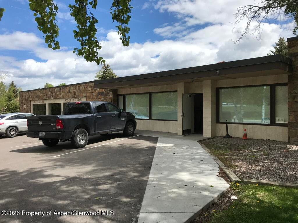 113 Sage Way West, Aspen, CO 81611 - Photo 5
