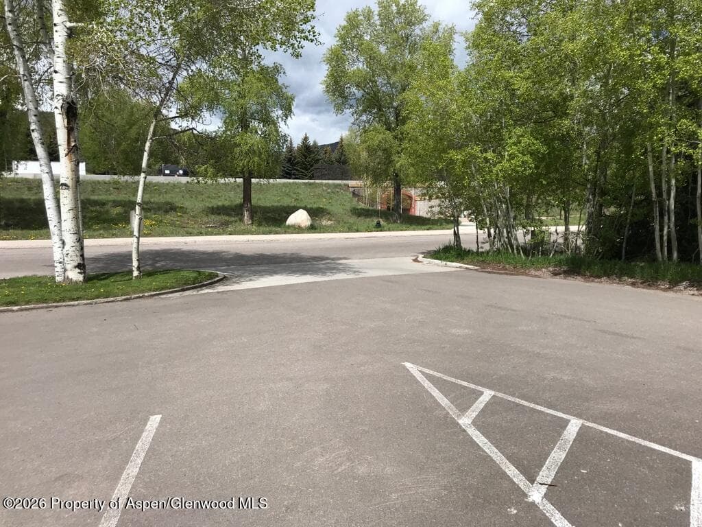 113 Sage Way West, Aspen, CO 81611 - Photo 6