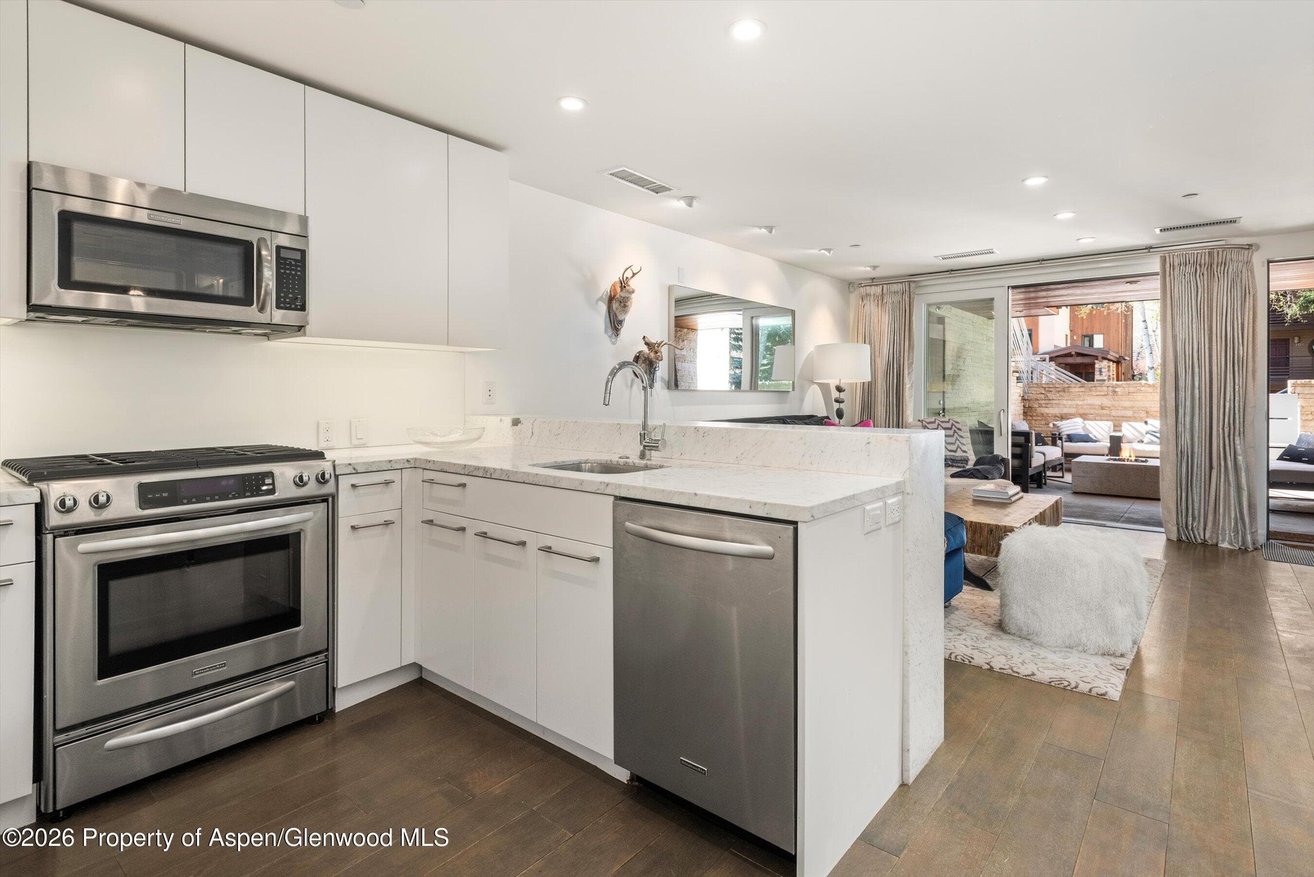 100 E Cooper Avenue 5, Aspen, CO 81611 - Photo 6