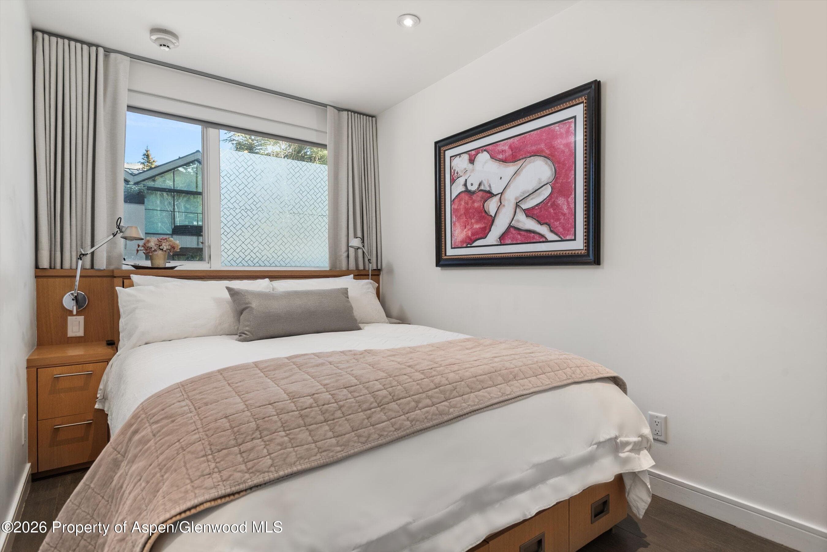 100 E Cooper Avenue 5, Aspen, CO 81611 - Photo 8