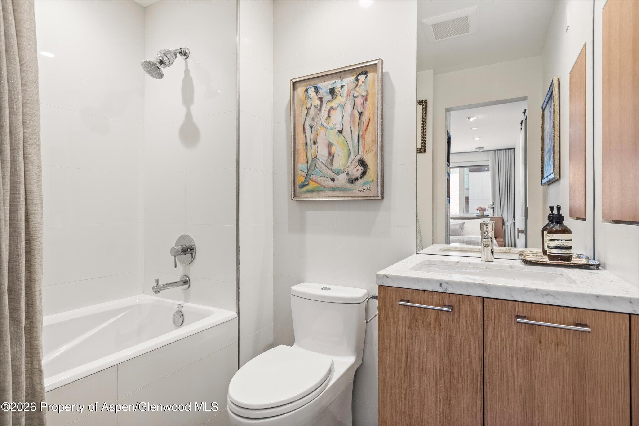 100 E Cooper Avenue 5, Aspen, CO 81611 - Photo 9