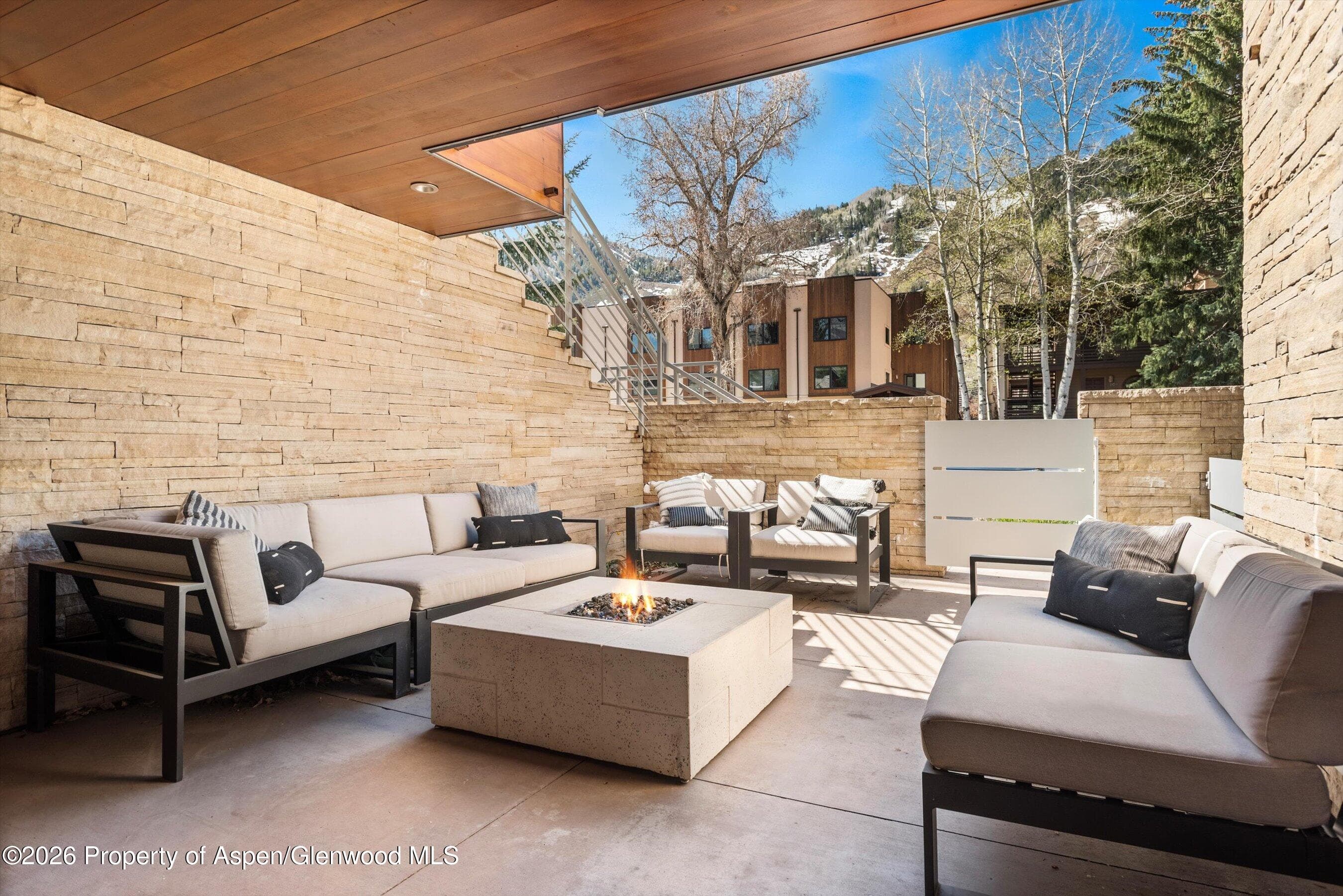 100 E Cooper Avenue 5, Aspen, CO 81611 - Photo 2