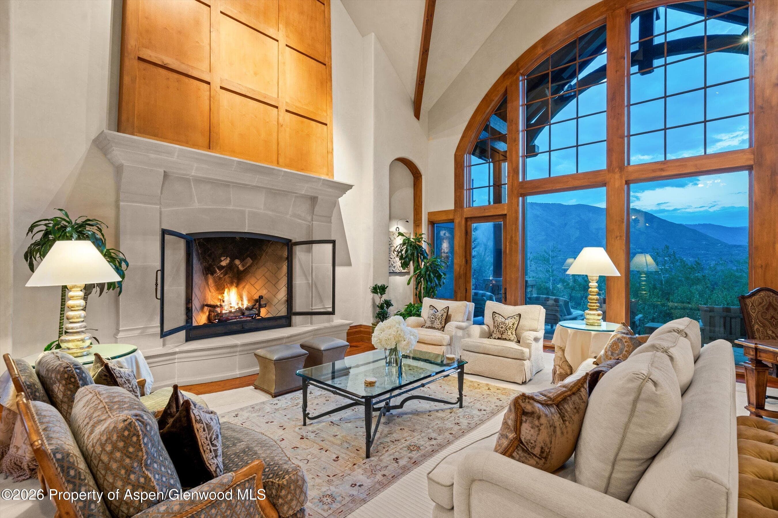 691 Pfister Drive, Aspen, CO 81611 - Photo 9