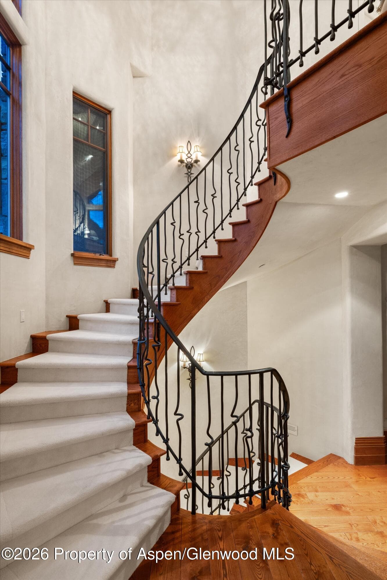 691 Pfister Drive, Aspen, CO 81611 - Photo 16