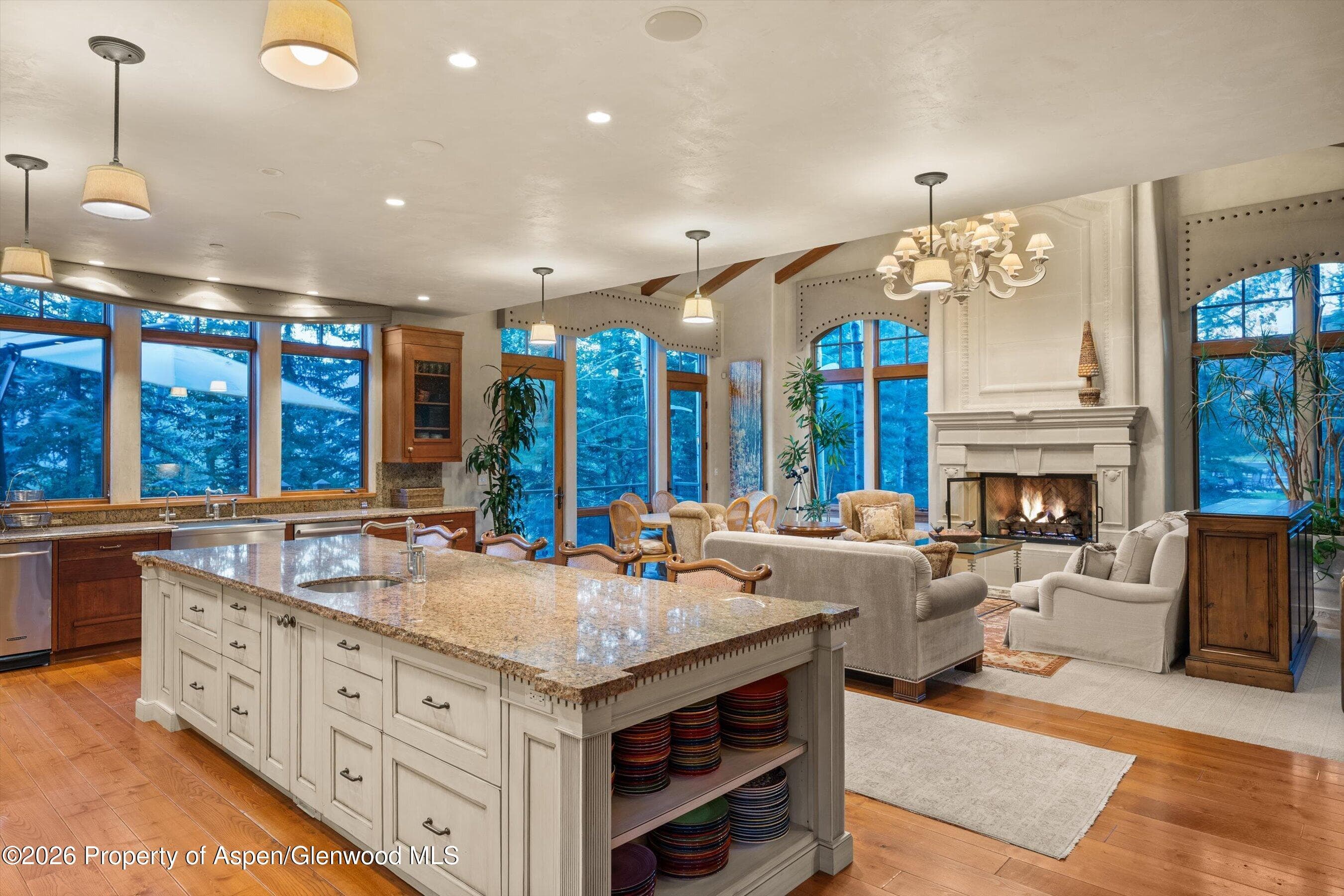 691 Pfister Drive, Aspen, CO 81611 - Photo 18
