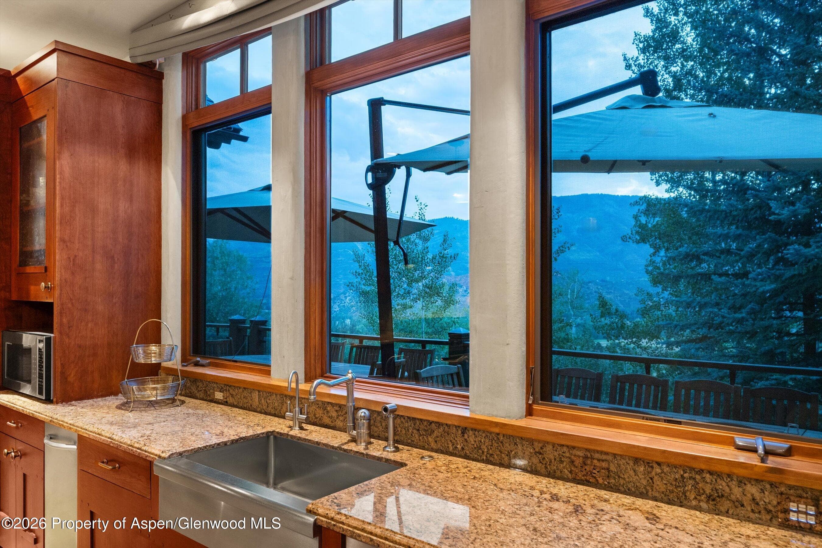 691 Pfister Drive, Aspen, CO 81611 - Photo 22