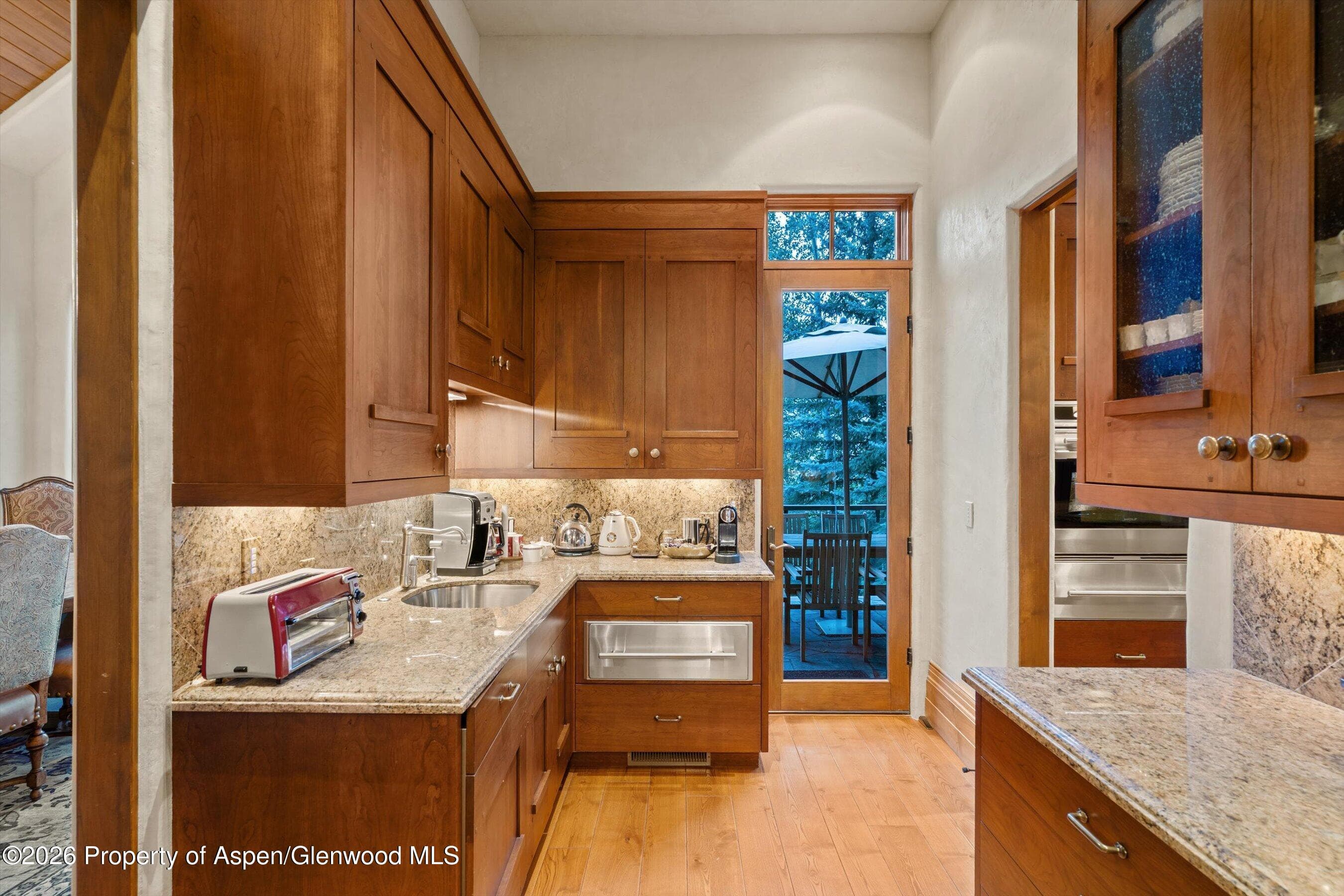 691 Pfister Drive, Aspen, CO 81611 - Photo 29