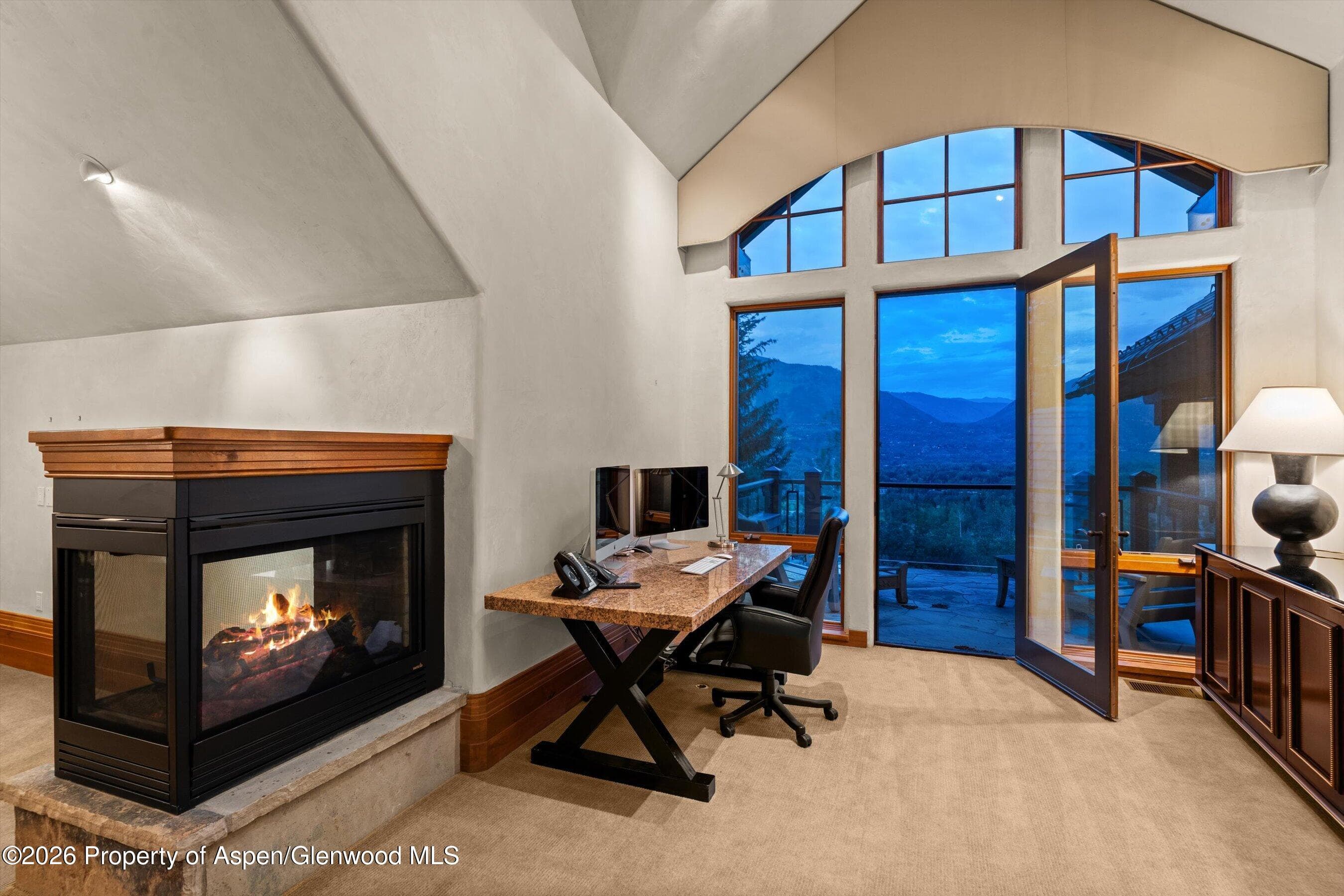 691 Pfister Drive, Aspen, CO 81611 - Photo 39