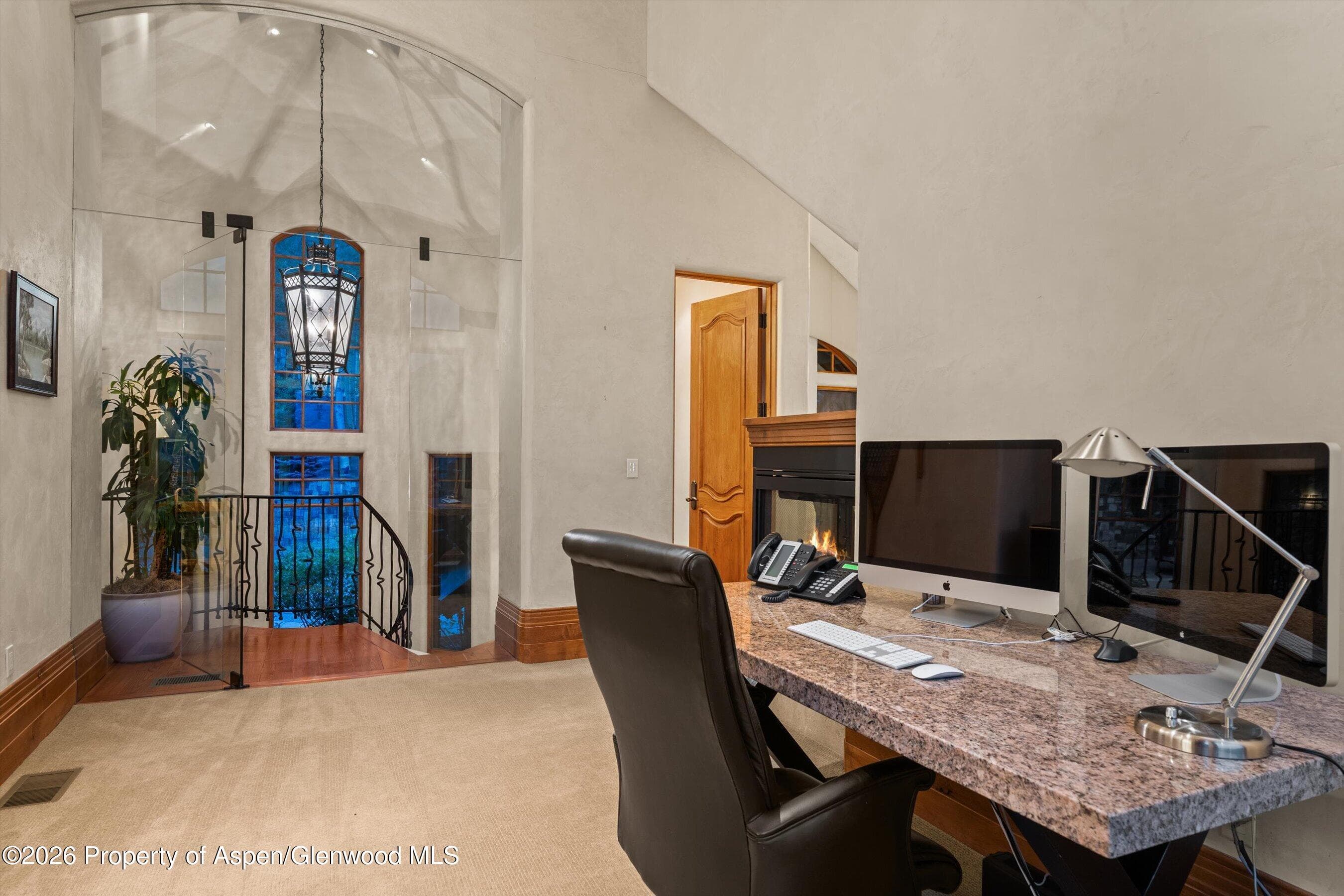 691 Pfister Drive, Aspen, CO 81611 - Photo 40