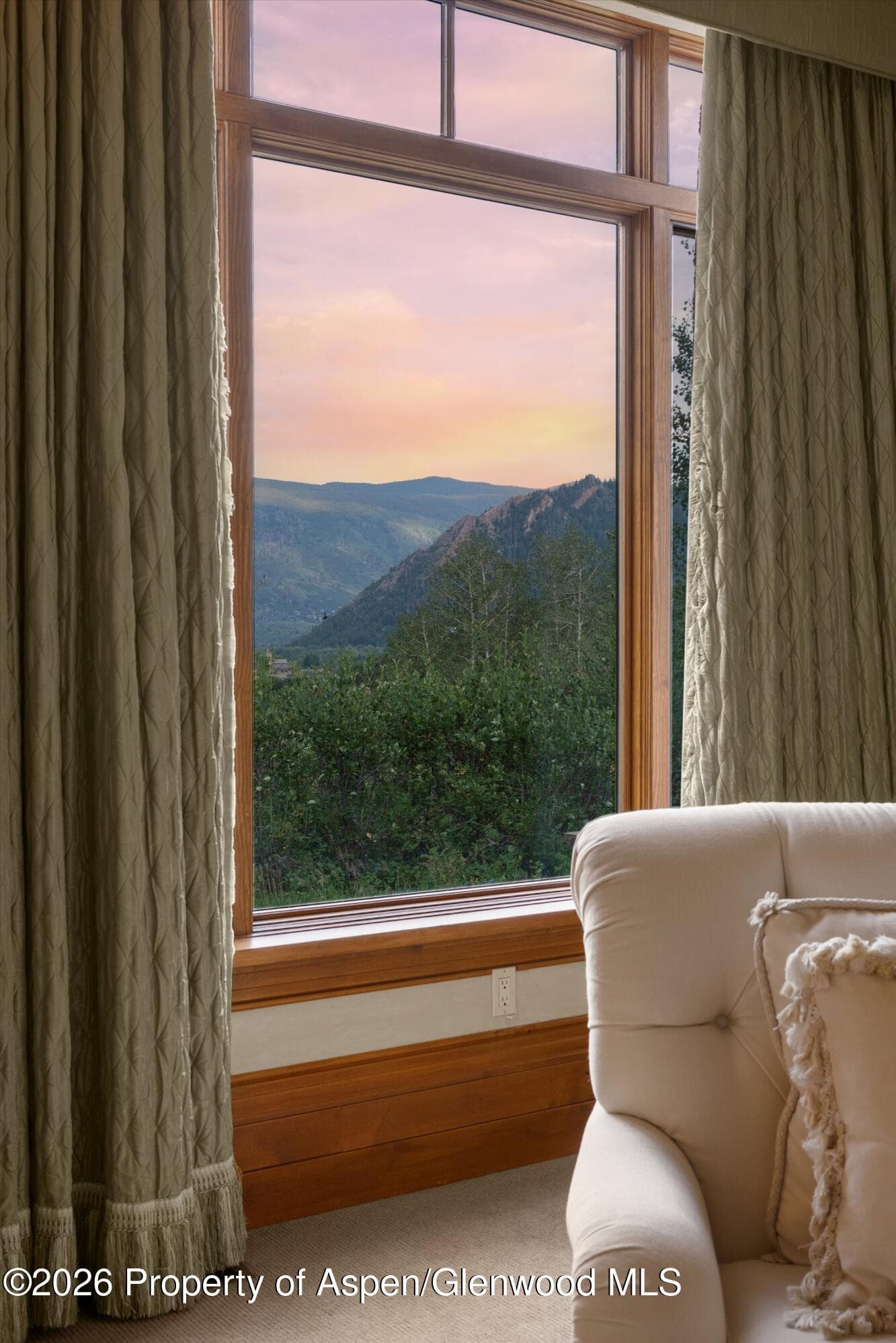 691 Pfister Drive, Aspen, CO 81611 - Photo 46