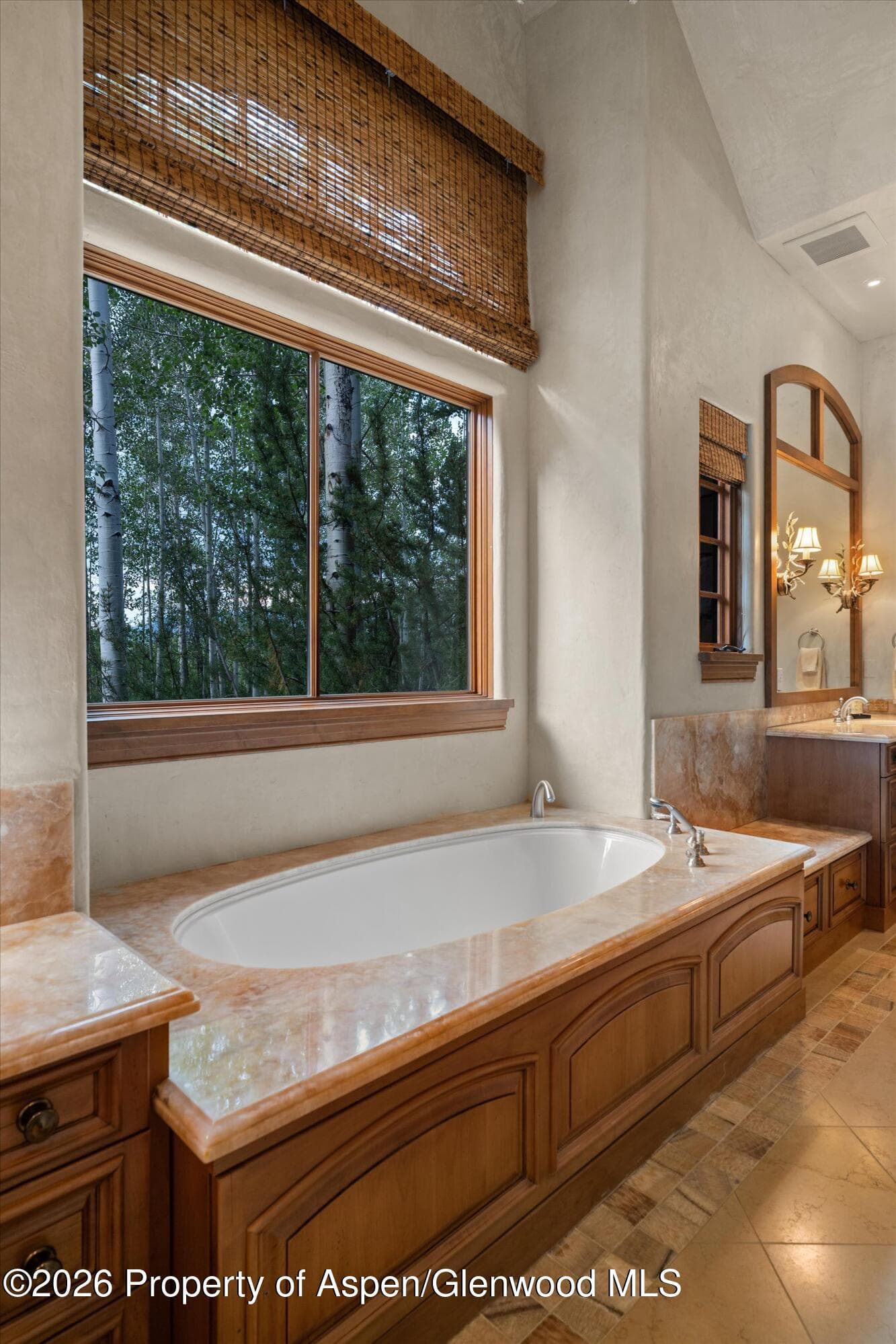 691 Pfister Drive, Aspen, CO 81611 - Photo 47