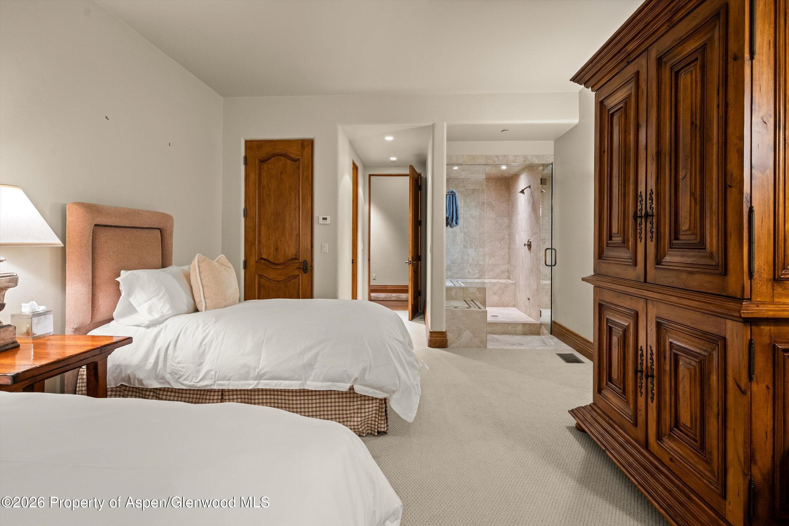 691 Pfister Drive, Aspen, CO 81611 - Photo 57