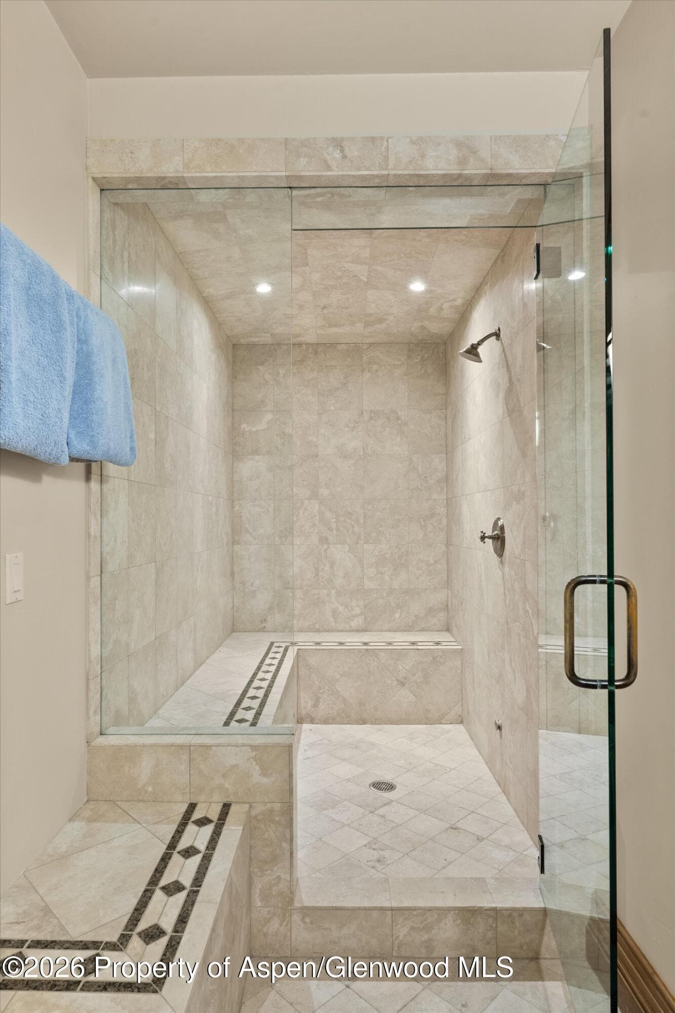 691 Pfister Drive, Aspen, CO 81611 - Photo 58